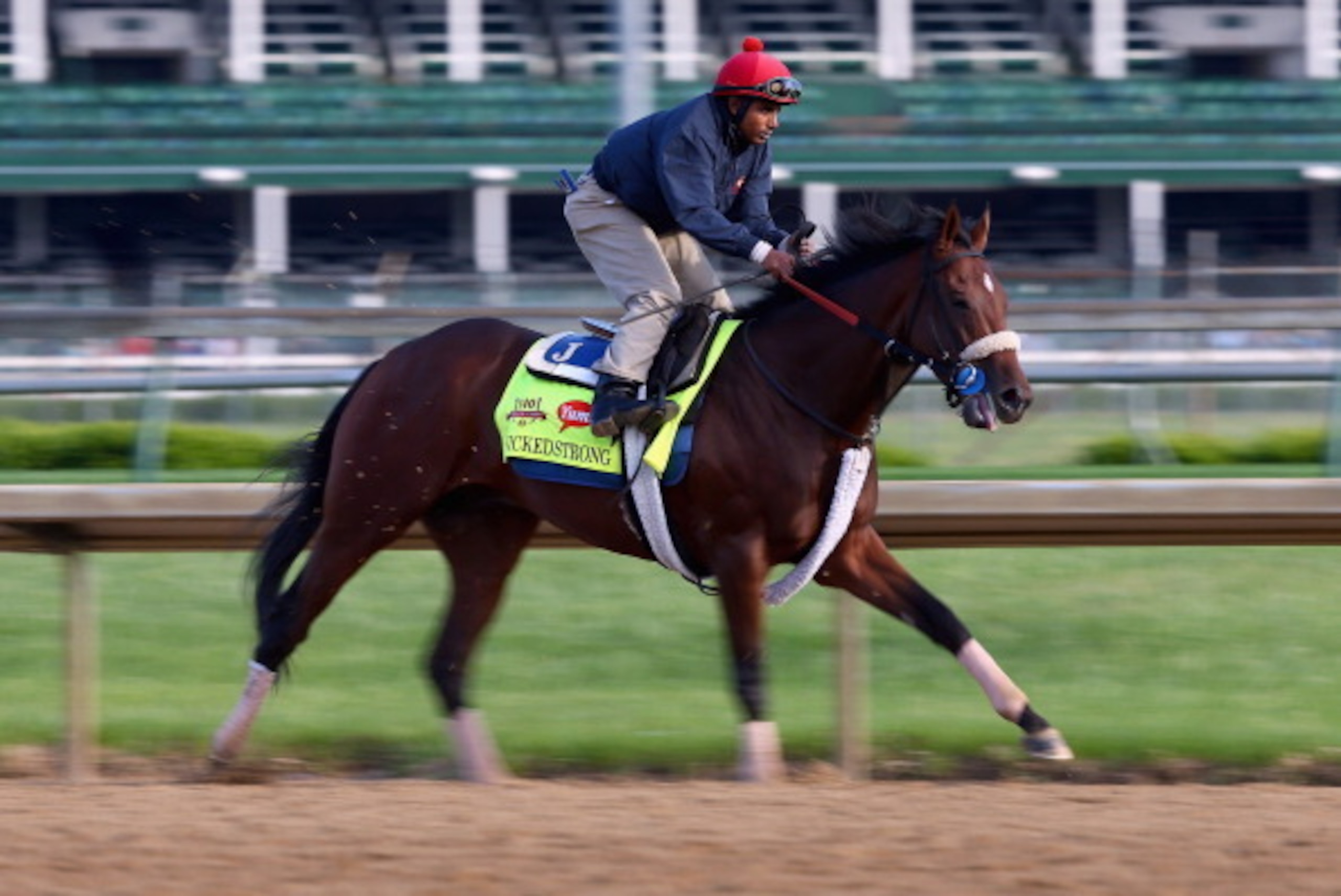 LOUISVILLE, KY - MAY 01:  Wicked Strong runs on the track during the morning training for the Kentucky Derby at Churchill Downs on May 1, 2014 in Louisville, Kentucky.  (Photo by Andy Lyons/Getty Images)