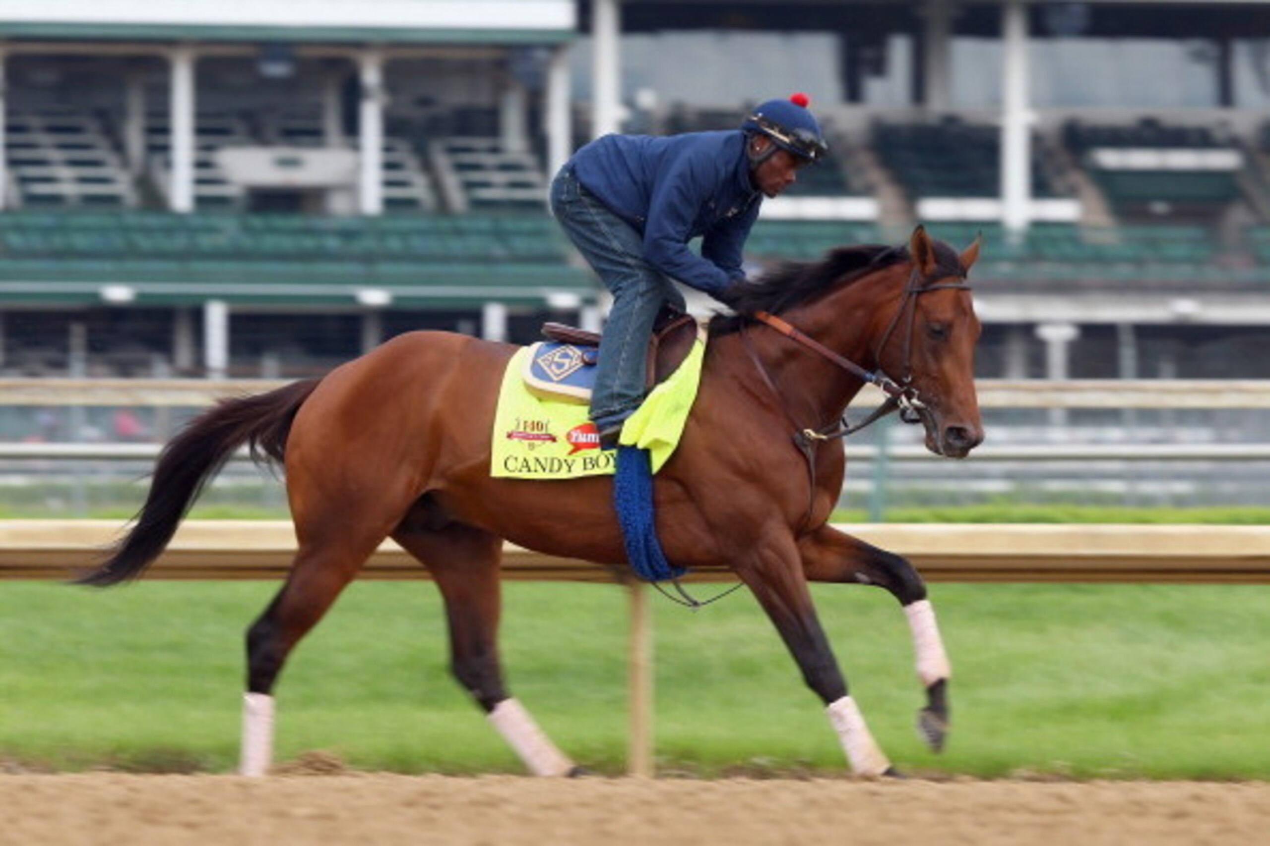 LOUISVILLE, KY - APRIL 30:  Candy Boy runs on the track during the morning training for the Kentucky Derby at Churchill Downs on April 30, 2014 in Louisville, Kentucky.  (Photo by Andy Lyons/Getty Images)