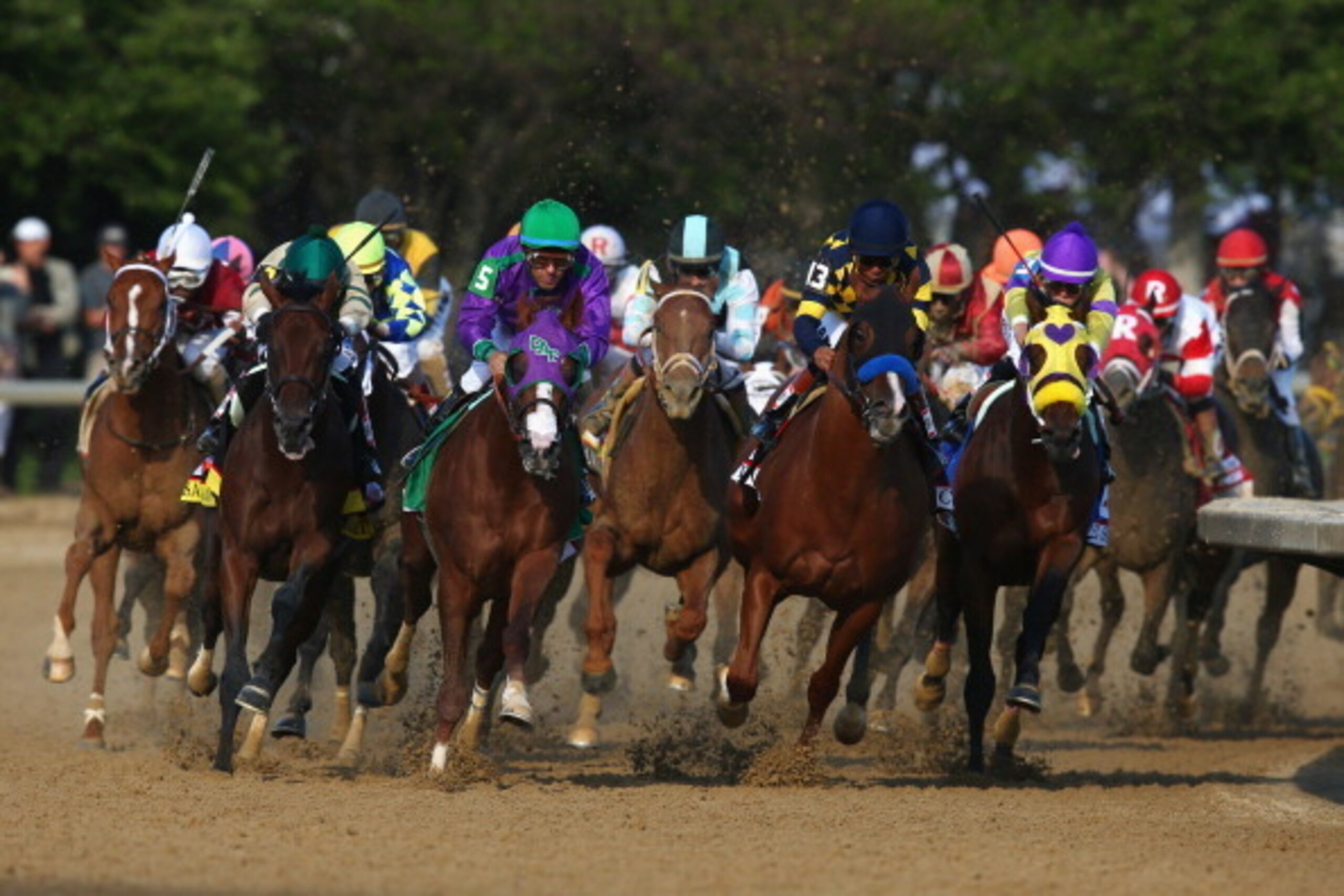 LOUISVILLE, KY - MAY 03: California Chrome #5, ridden by Victor Espinoza,  leads the field out of the fourth turn enroute to winning the 140th running of the Kentucky Derby at Churchill Downs on May 3, 2014 in Louisville, Kentucky.  (Photo by Andy Lyons/G
