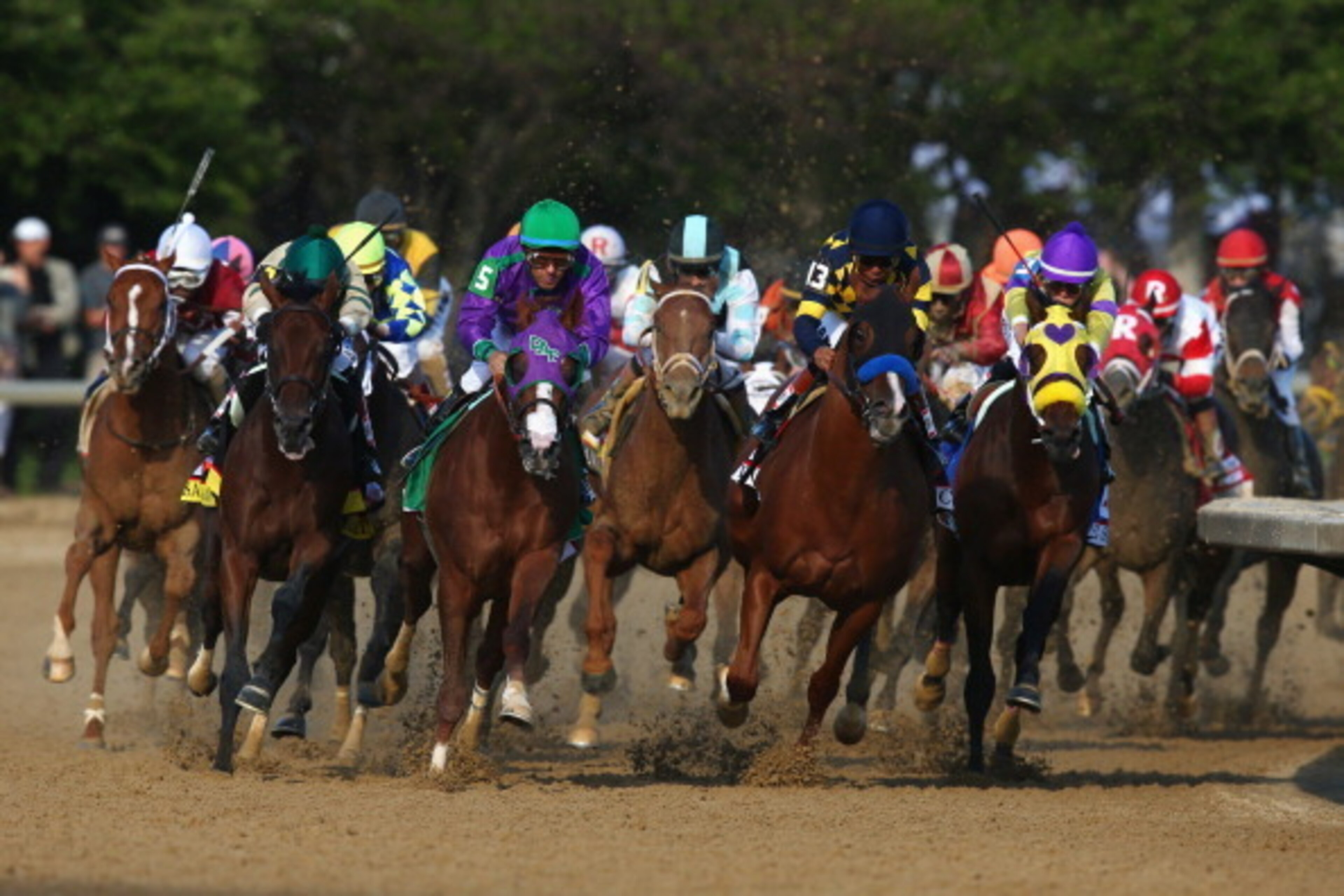 LOUISVILLE, KY - MAY 03: California Chrome #5, ridden by Victor Espinoza,  leads the field out of the fourth turn enroute to winning the 140th running of the Kentucky Derby at Churchill Downs on May 3, 2014 in Louisville, Kentucky.  (Photo by Andy Lyons/G