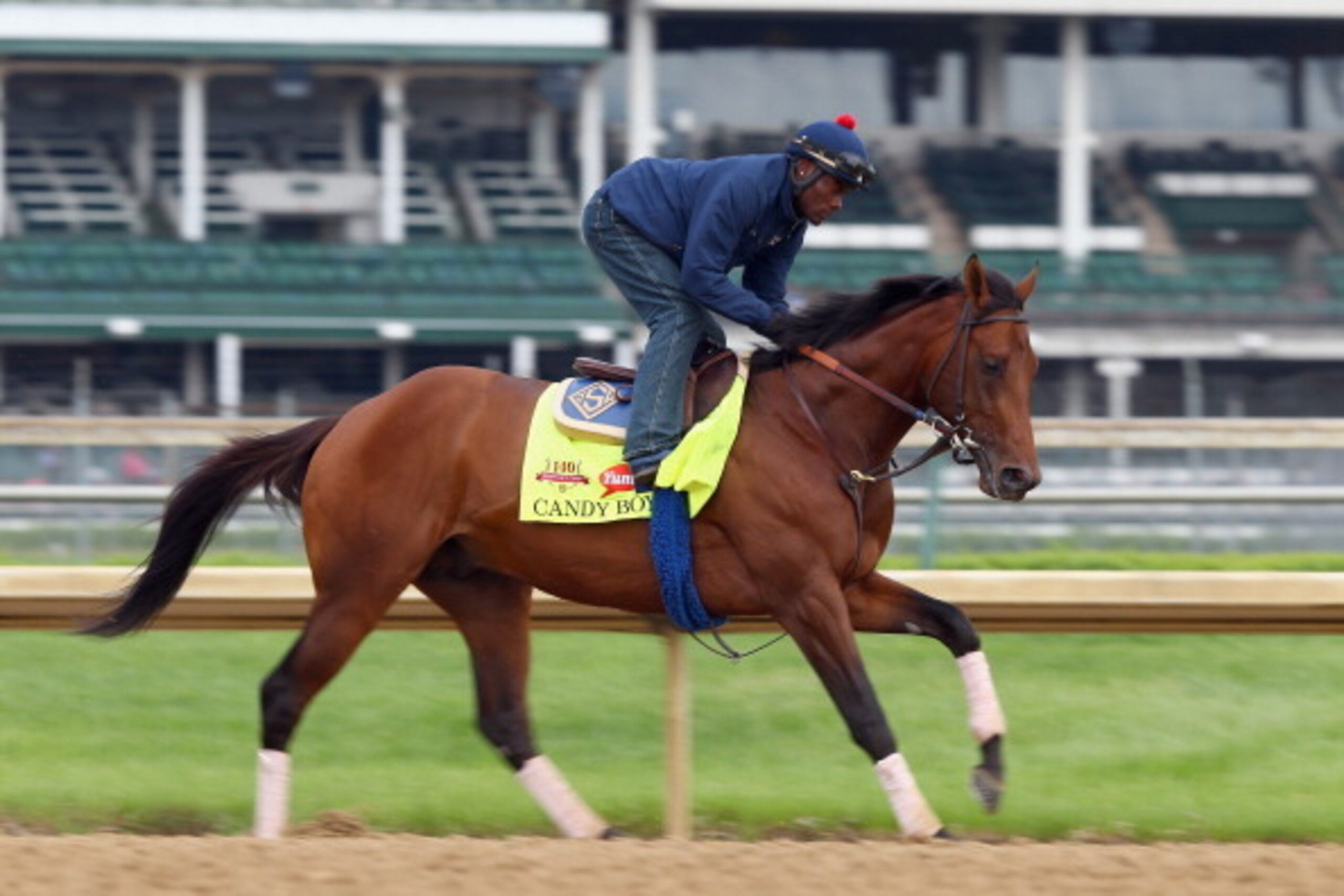 LOUISVILLE, KY - APRIL 30:  Candy Boy runs on the track during the morning training for the Kentucky Derby at Churchill Downs on April 30, 2014 in Louisville, Kentucky.  (Photo by Andy Lyons/Getty Images)