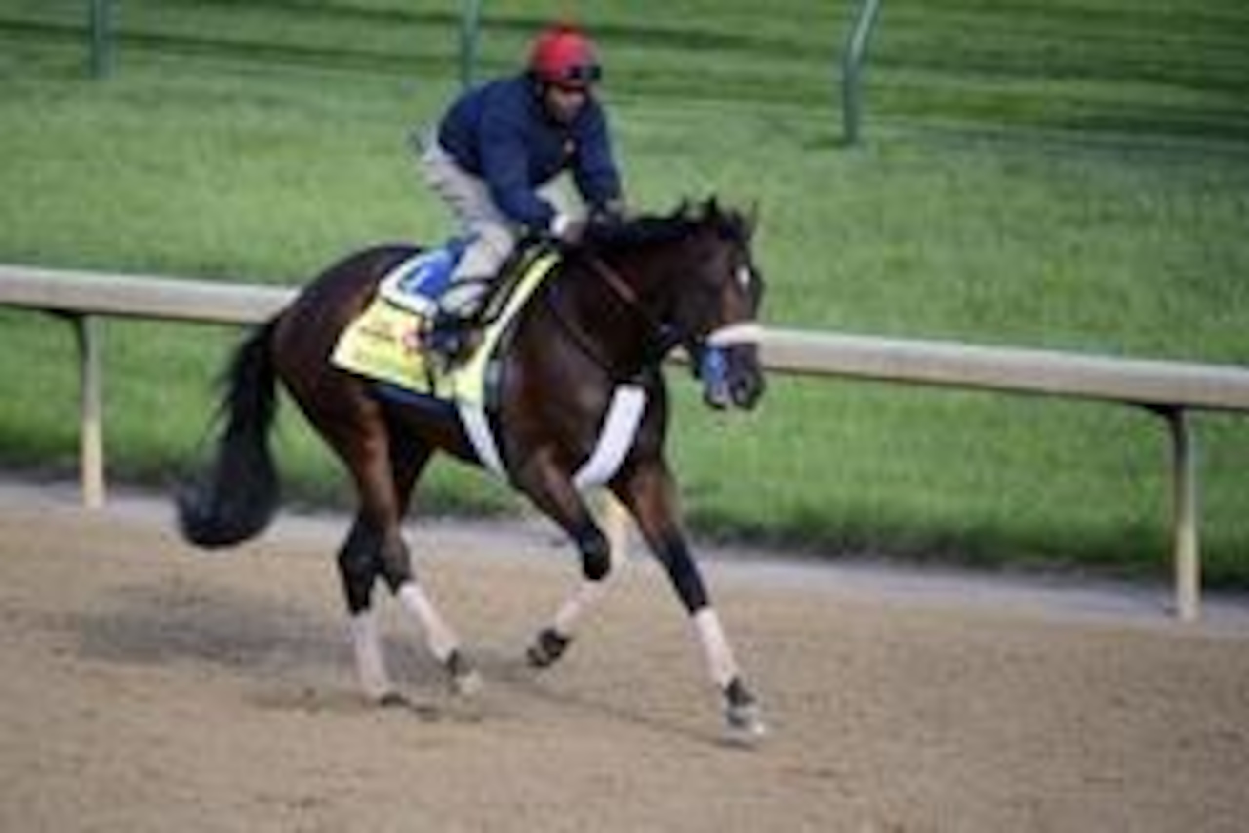 May 1, 2014; Louisville, KY, USA; Exercise rider Kelvin Pahal works out Kentucky Derby hopeful Wicked Strong during morning workouts at Churchill Downs. Mandatory Credit: Jamie Rhodes-USA TODAY Sports