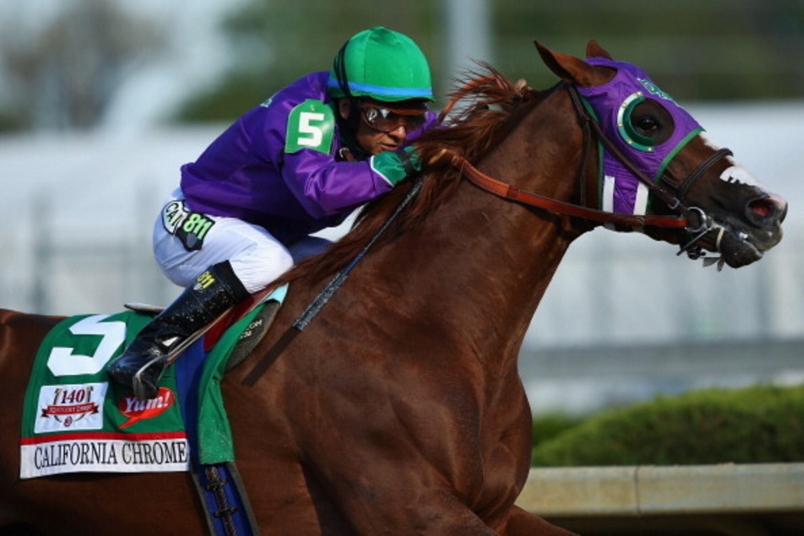 LOUISVILLE, KY - MAY 03:  California Chrome #5, ridden by Victor Espinoza, comes out of the fourth turn enroute to winning the 140th running of the Kentucky Derby at Churchill Downs on May 3, 2014 in Louisville, Kentucky.  (Photo by Andy Lyons/Getty Image