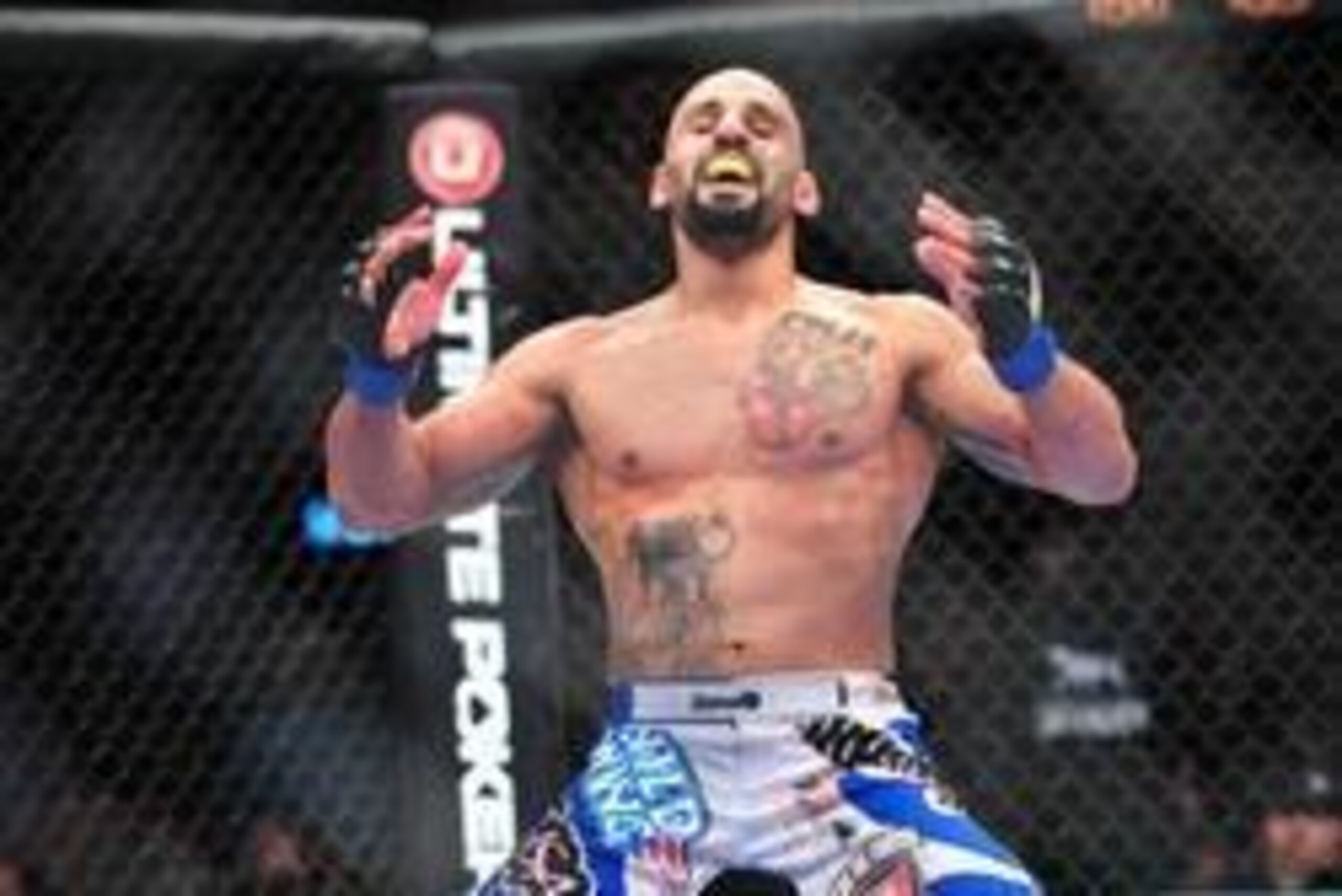 Dec 29, 2012; Las Vegas, NV, USA; Costa Phillippou celebrates his victory over Tim Boetsch during UFC 155 at the MGM Grand Garden Arena. Mandatory Credit: Gary A. Vasquez-USA TODAY Sports