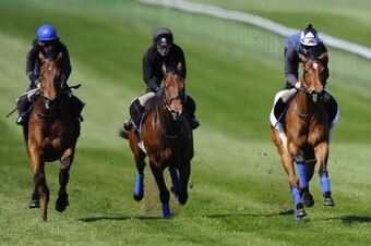 NEWMARKET, ENGLAND - APRIL 16: Tom Queally riding Lucky Kristale (R) have a racecourse gallop prior to running in The Qipco 1000 Guineas at Newmarket racecourse on April 16, 2014 in Newmarket, England. (Photo by Alan Crowhurst/Getty Images)