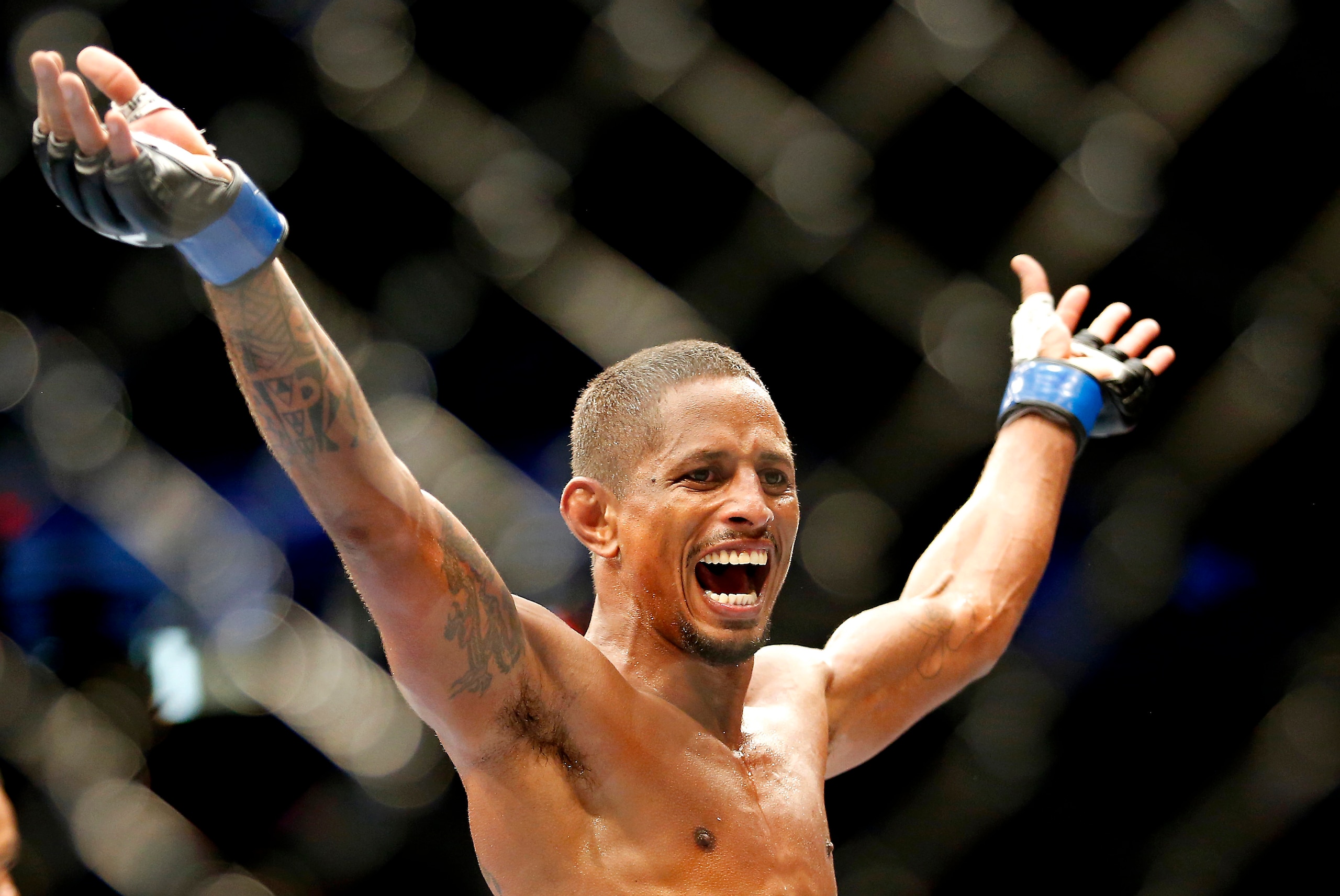 May 10, 2014; Cincinnati, OH, USA; Johnny Eduardo (blue gloves) celebrates after knocking out Eddie Wineland (not pictured) in the first round of a preliminary bantamweight bout at US Bank Arena. Mandatory Credit: Joe Maiorana-USA TODAY Sports