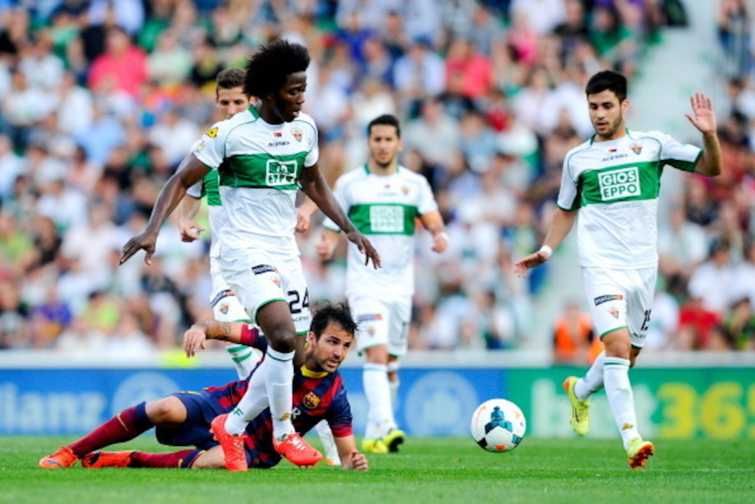 ELCHE, SPAIN - MAY 11:  Cesc Fabregas of FC Barcelona is brought down by Carles Gil of Elche FC during the La Liga match between Elche FC and FC Barcelona at Estadio Manuel Martinez Valero on May 11, 2014 in Elche, Spain.  (Photo by David Ramos/Getty Imag