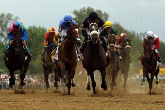 BALTIMORE, MD - MAY 18:  Oxbow #6, ridden by Gary Stevens, leads the field at the start of the race to win the 138th running of the Preakness Stakes at Pimlico Race Course on May 18, 2013 in Baltimore, Maryland.  (Photo by Matthew Stockman/Getty Images)