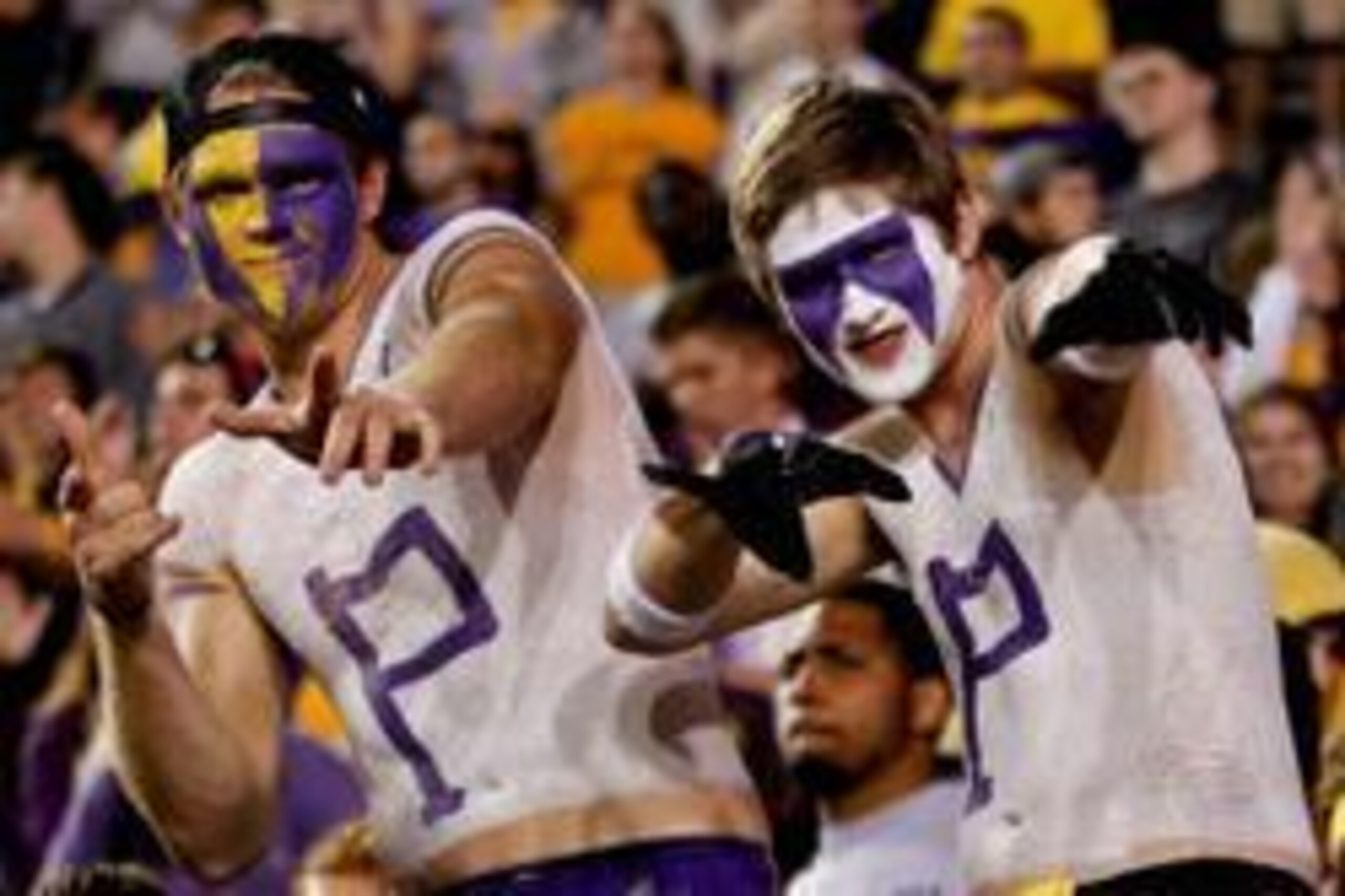 November 10, 2012; Baton Rouge, LA, USA; LSU Tigers fans in the stands during the second half of a game against the Mississippi State Bulldogs at Tiger Stadium.  LSU defeated Mississippi State 37-17. Mandatory Credit: Derick E. Hingle-USA TODAY Sports