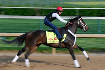 LOUISVILLE, KY - MAY 01:  Kentucky Derby contender Ride On Curlin works out on the track during early morning workouts at Churchill Downs on May 1, 2014 in Louisville, Kentucky.  (Photo by Kevin C. Cox/Getty Images)