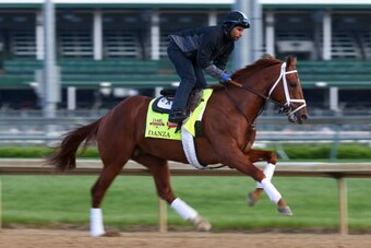 LOUISVILLE, KY - MAY 01:  Danza runs on the track during the morning training for the Kentucky Derby at Churchill Downs on May 1, 2014 in Louisville, Kentucky.  (Photo by Andy Lyons/Getty Images)