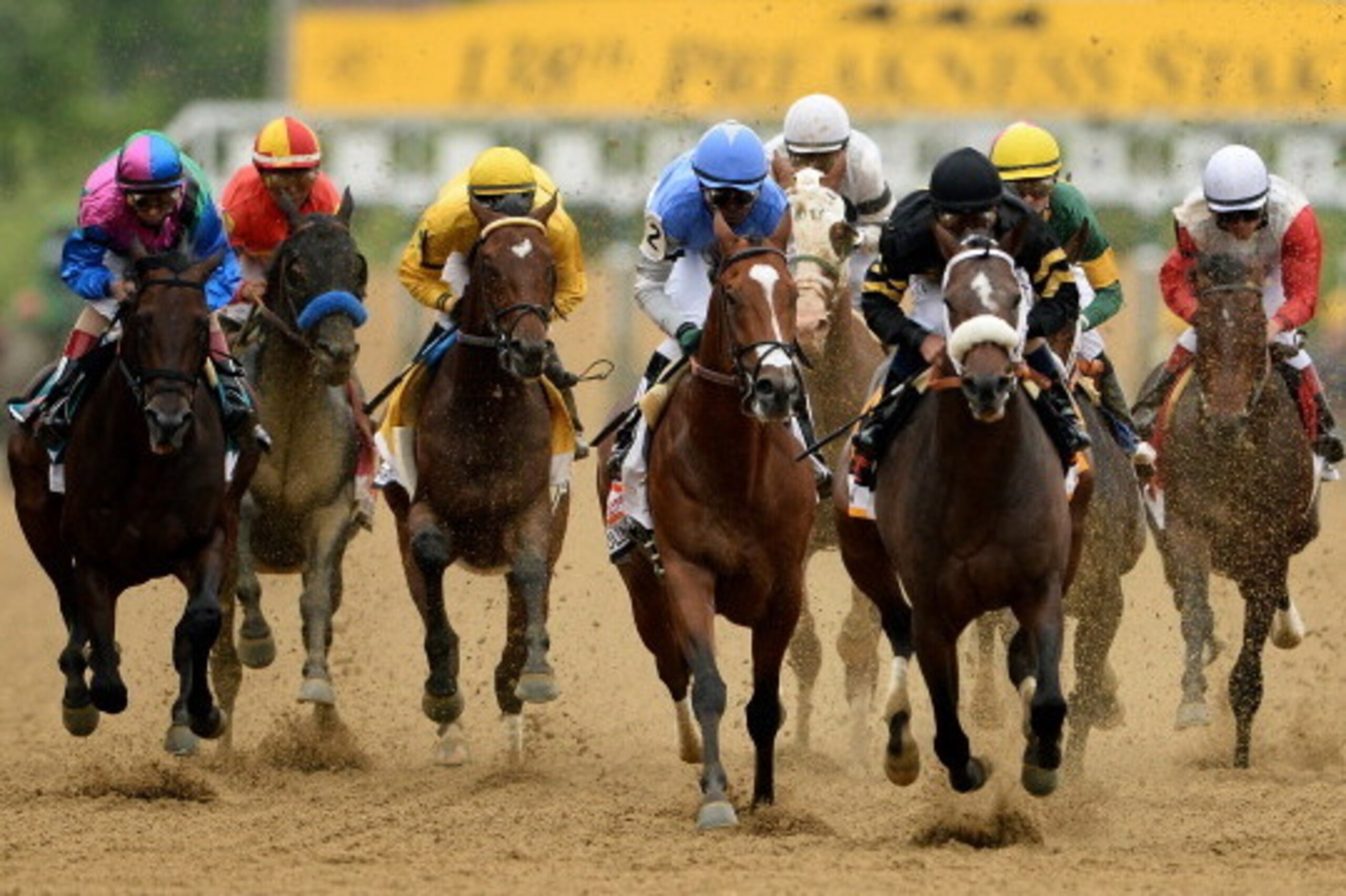 BALTIMORE, MD - MAY 18: Oxbow #6, ridden by Gary Stevens, leads the field at the start of the race to win the 138th running of the Preakness Stakes at Pimlico Race Course on May 18, 2013 in Baltimore, Maryland. (Photo by Patrick Smith/Getty Images) BALTIMORE, MD - MAY 18: Oxbow #6, ridden by Gary Stevens, leads the field at the start of the race to win the 138th running of the Preakness Stakes at Pimlico Race Course on May 18, 2013 in Baltimore, Maryland. (Photo by Patrick Smith/Getty Images)