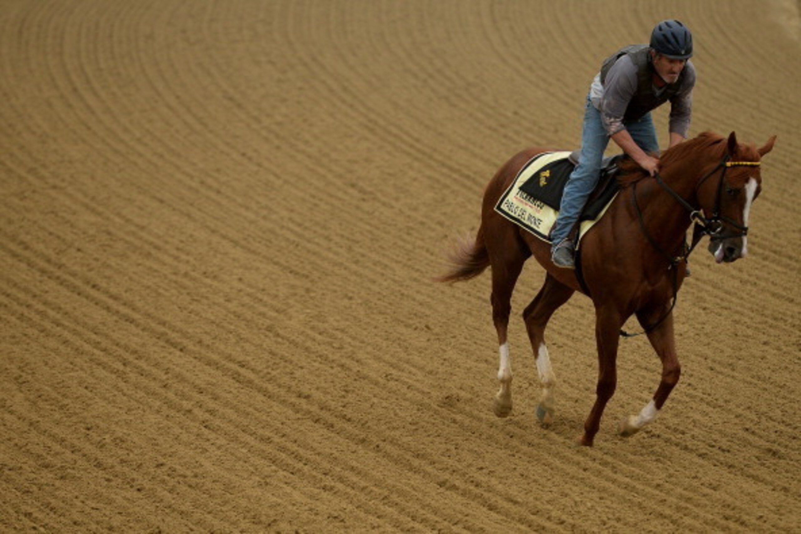 BALTIMORE, MD - MAY 15: Pablo Del Monte works on the track in preparation for the 139th Preakness Stakes at Pimlico Race Course on May 15, 2014 in Baltimore, Maryland. (Photo by Patrick Smith/Getty Images)