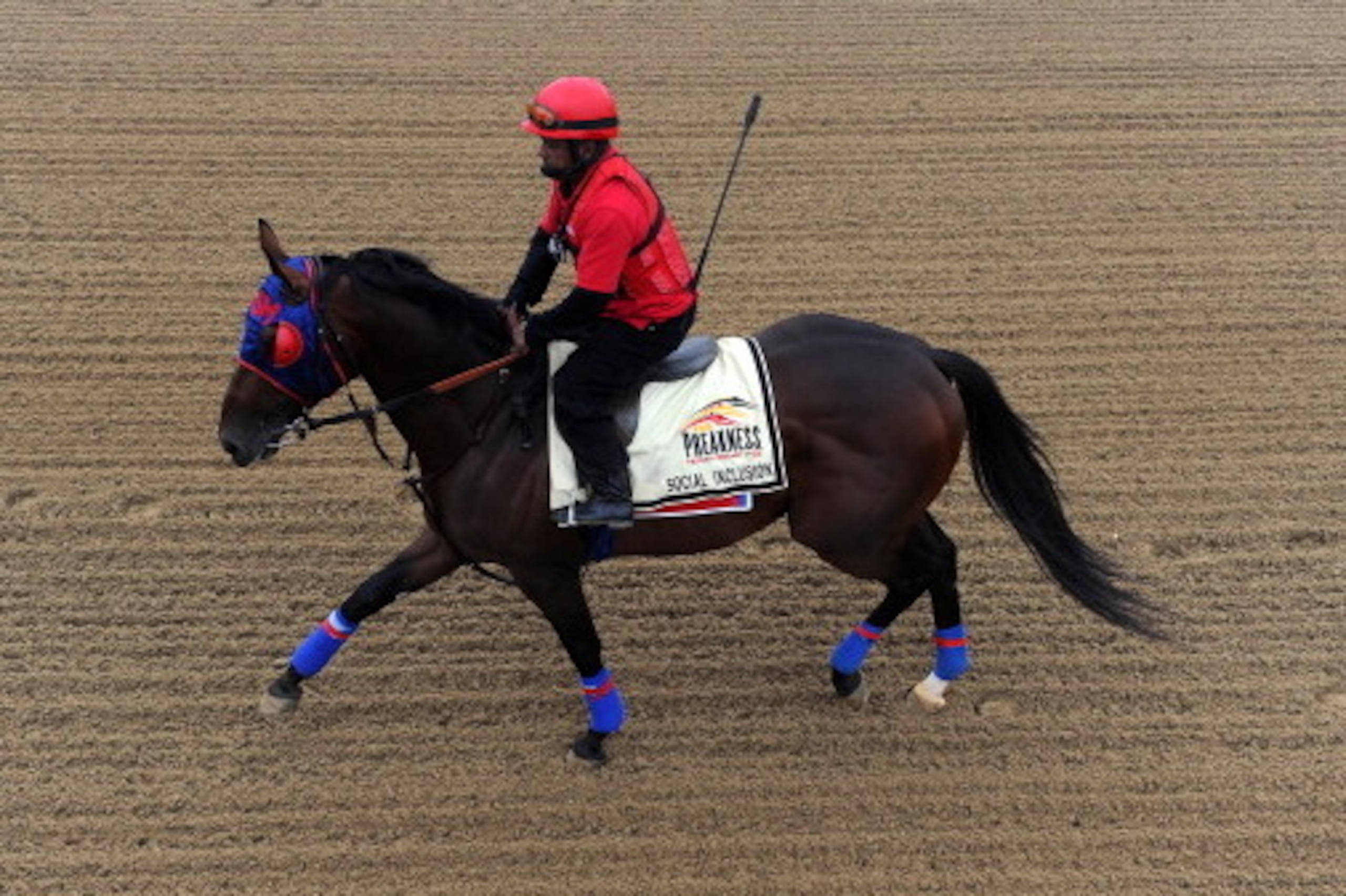BALTIMORE, MD - MAY 15: Exercise rider Domingo Navarro takes Social Inclusion over the track in preparation for the 139th Preakness Stakes at Pimlico Race Course on May 15, 2014 in Baltimore, Maryland. (Photo by Patrick Smith/Getty Images)