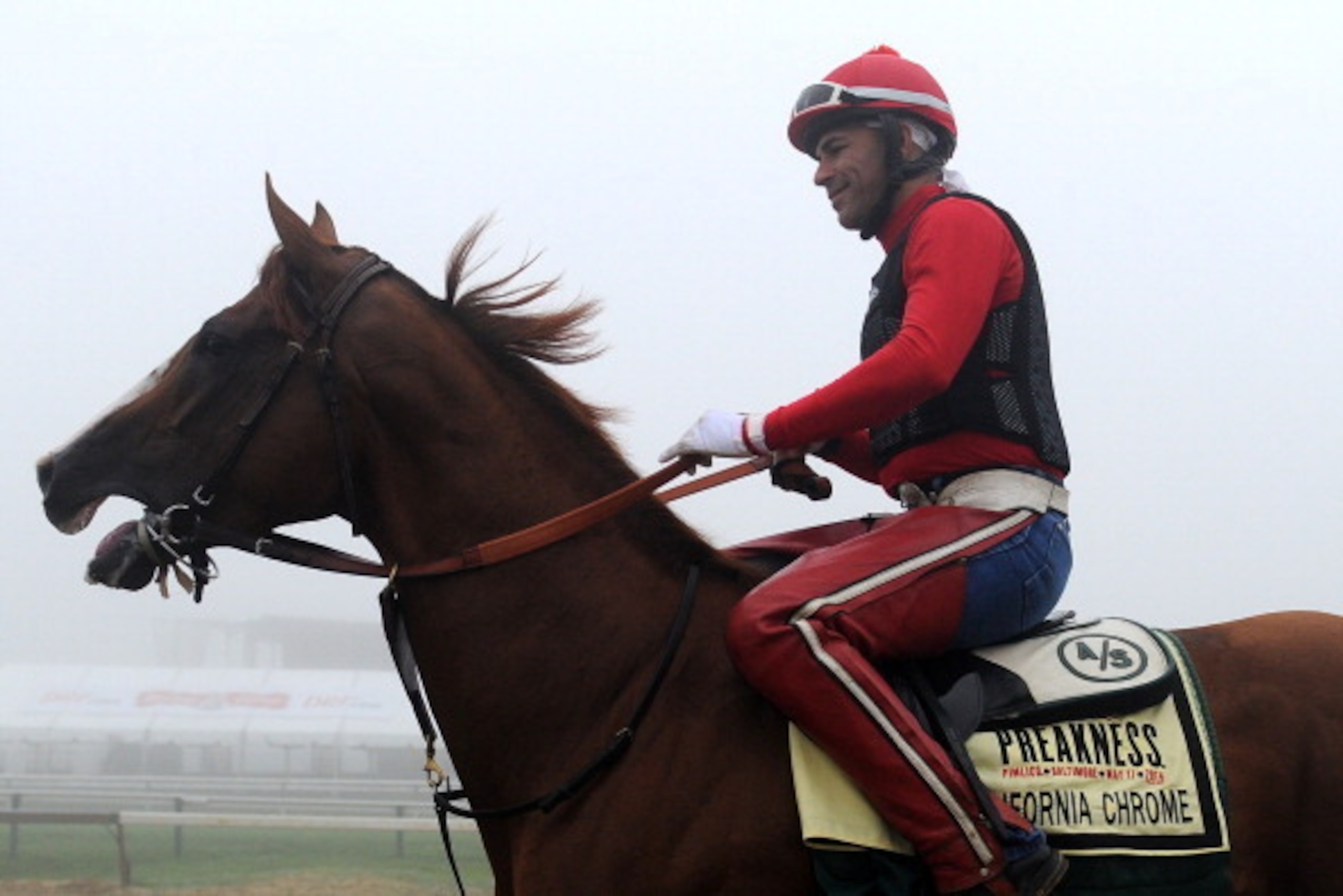 BALTIMORE, MD - MAY 15:  Exercise rider Willie Delgado takes Kentucky Derby winner California Chrome over the track in preparation for the 139th Preakness Stakes at Pimlico Race Course on May 15, 2014 in Baltimore, Maryland. (Photo by Patrick Smith/Getty 