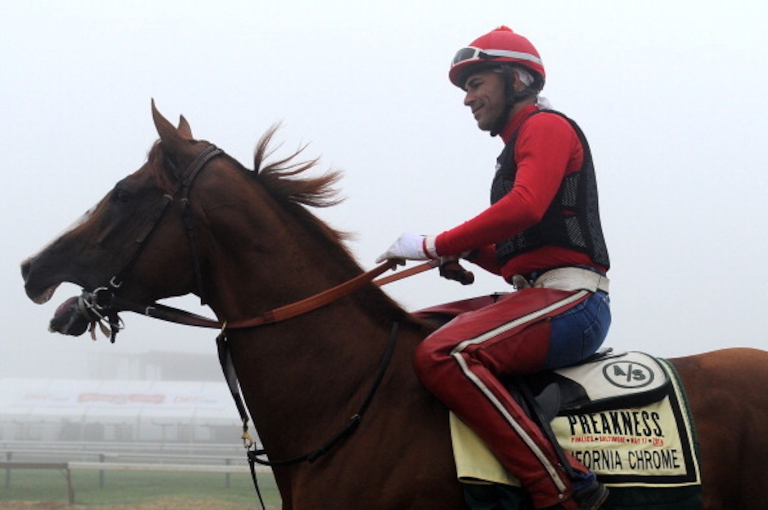 BALTIMORE, MD - MAY 15:  Exercise rider Willie Delgado takes Kentucky Derby winner California Chrome over the track in preparation for the 139th Preakness Stakes at Pimlico Race Course on May 15, 2014 in Baltimore, Maryland. (Photo by Patrick Smith/Getty 