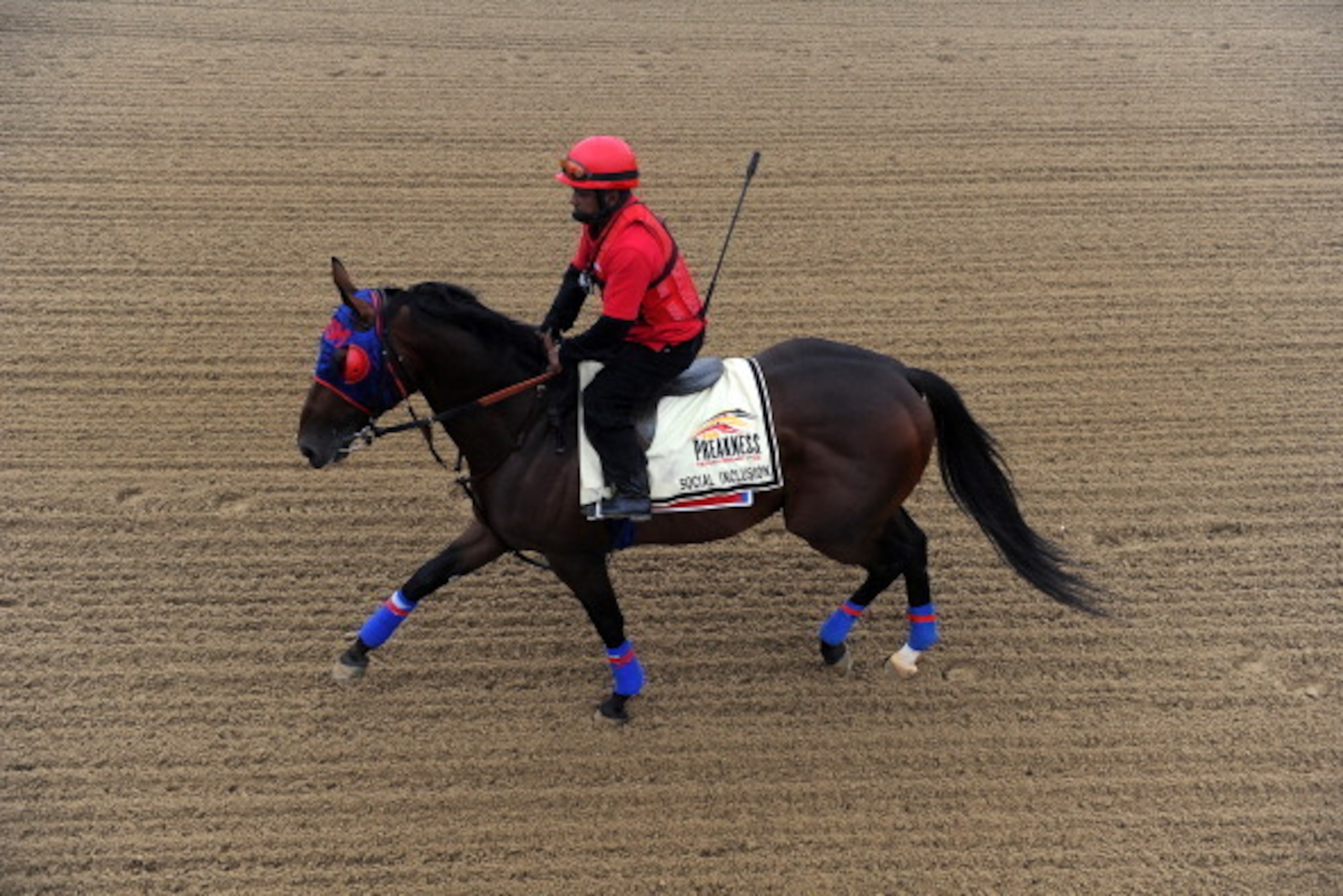 BALTIMORE, MD - MAY 15: Exercise rider Domingo Navarro takes Social Inclusion over the track in preparation for the 139th Preakness Stakes at Pimlico Race Course on May 15, 2014 in Baltimore, Maryland. (Photo by Patrick Smith/Getty Images)