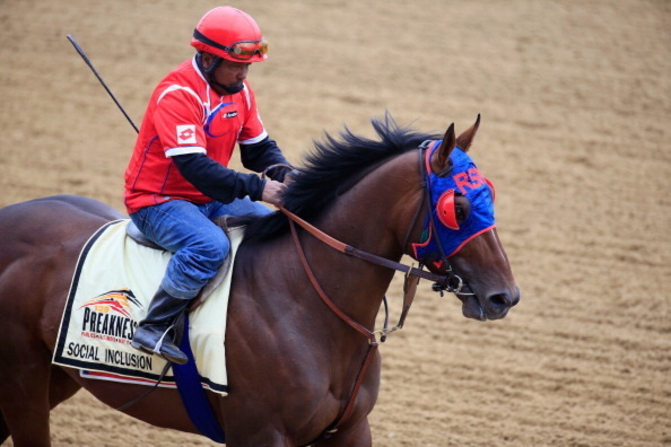 BALTIMORE, MD - MAY 14:  Exercise rider Domingo Navarro takes Social Inclusion over the track in preparation for the 139th Preakness Stakes at Pimlico Race Course on May 14, 2014 in Baltimore, Maryland.  (Photo by Rob Carr/Getty Images)