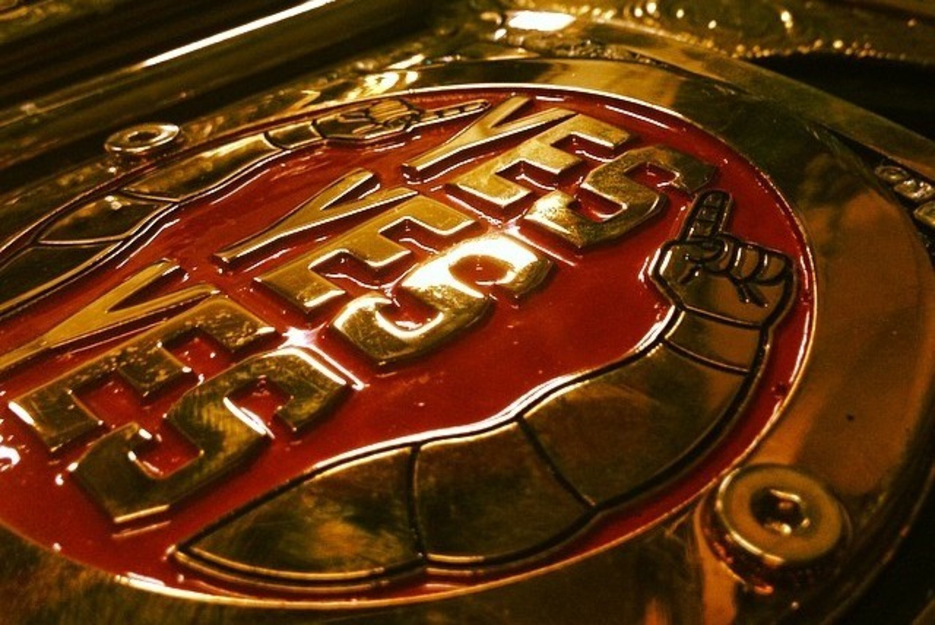 Daniel Bryan's world title side plate