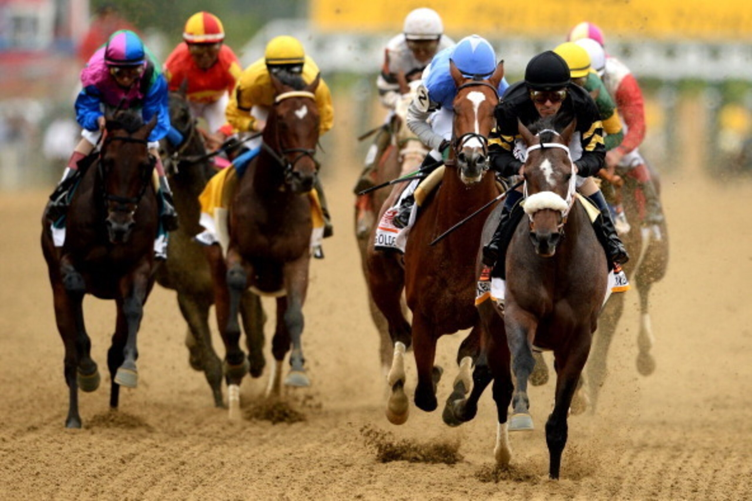 BALTIMORE, MD - MAY 18:  Oxbow #6, ridden by Gary Stevens, leads the field to the finish line to win the 138th running of the Preakness Stakes at Pimlico Race Course on May 18, 2013 in Baltimore, Maryland.  (Photo by Patrick Smith/Getty Images)