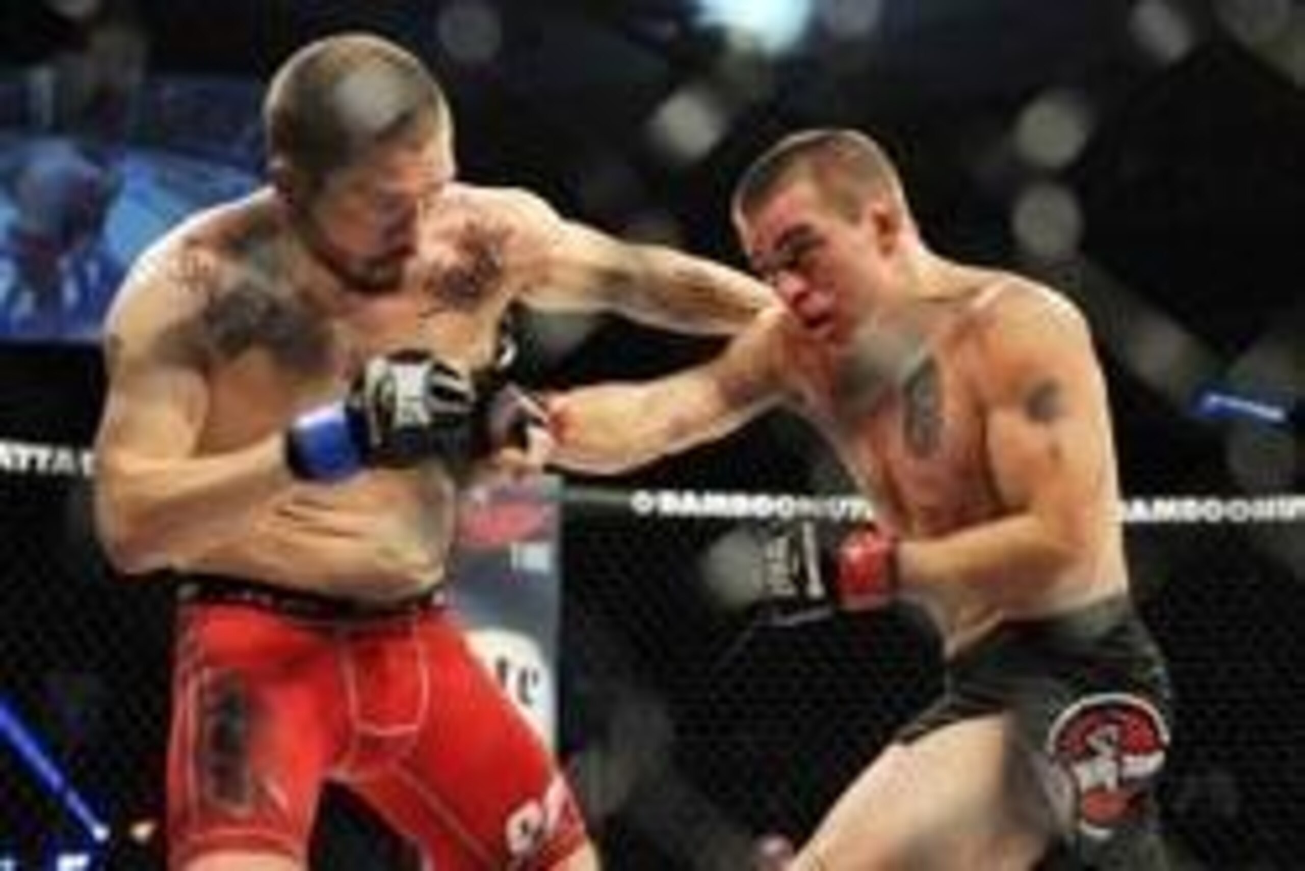 May 17, 2014; Southaven, MS, USA; Zach Underwood fights against  Austin Lyons during a Bellator featherweight bout during BFC 120 at Landers Center. Mandatory Credit: Justin Ford-USA TODAY Sports