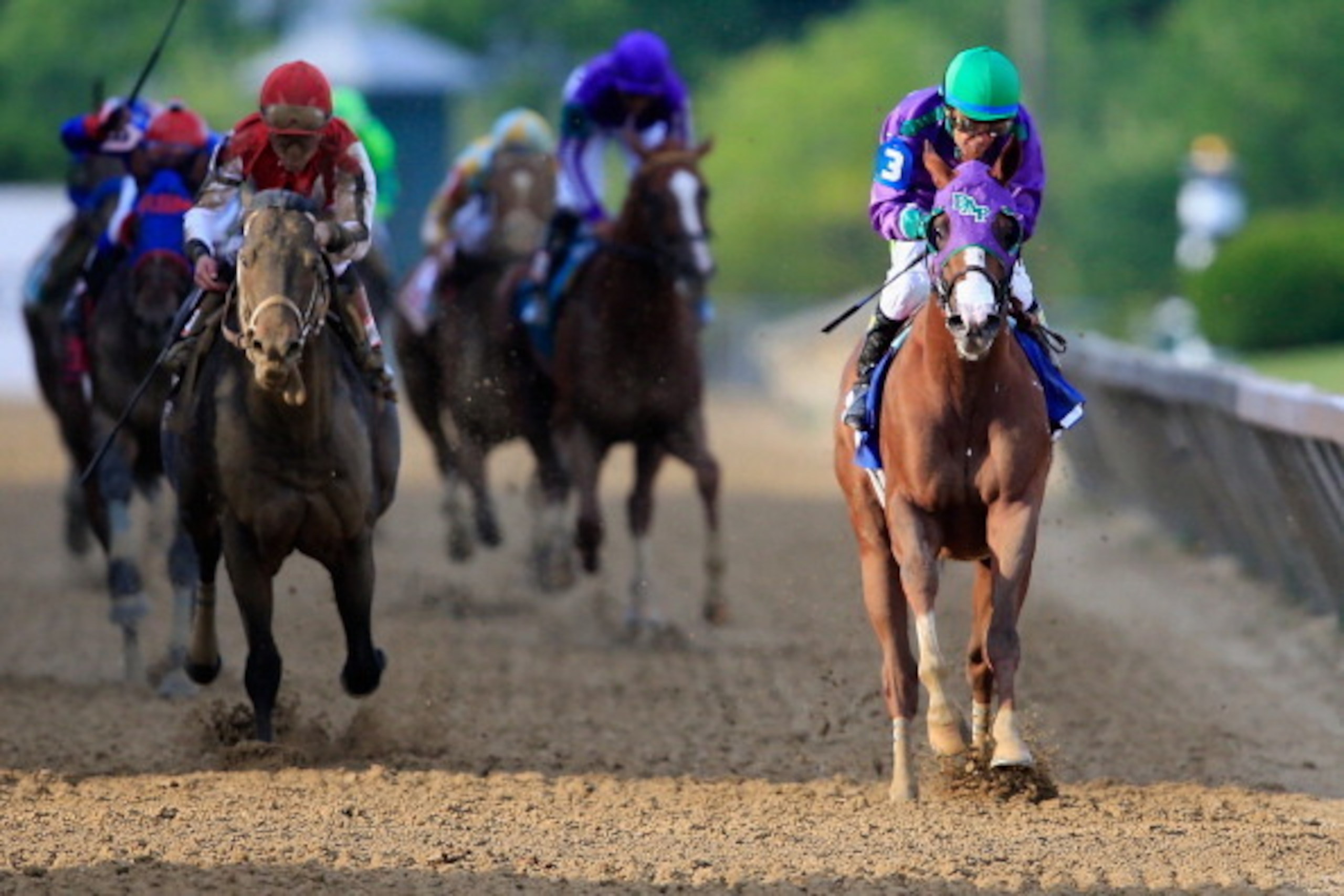 BALTIMORE, MD - MAY 17:  California Chrome #3, ridden by Victor Espinoza, races to the finish line enroute to winning the 139th running of the Preakness Stakes at Pimlico Race Course on May 17, 2014 in Baltimore, Maryland.  (Photo by Rob Carr/Getty Images