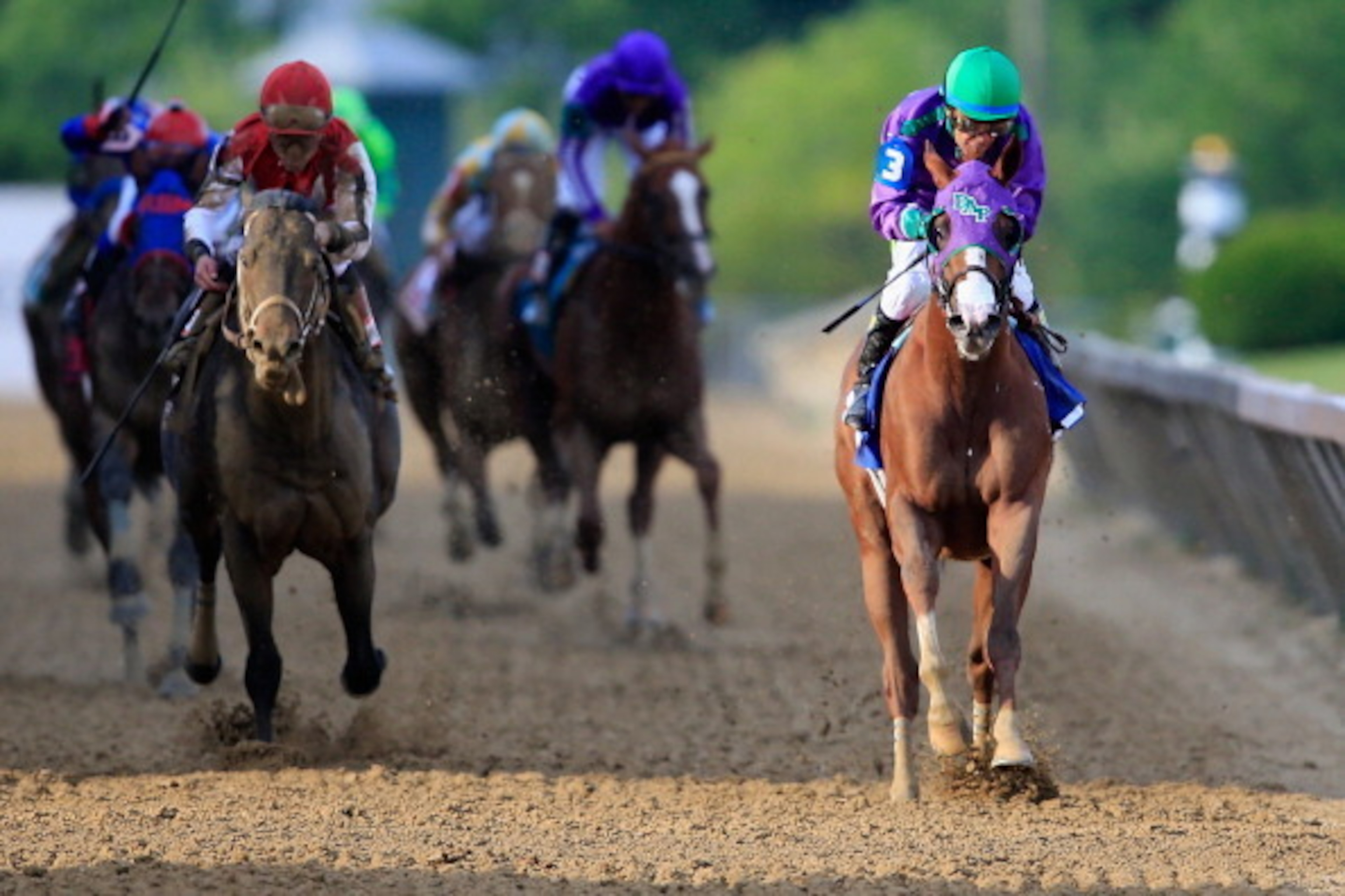 BALTIMORE, MD - MAY 17:  California Chrome #3, ridden by Victor Espinoza, races to the finish line enroute to winning the 139th running of the Preakness Stakes at Pimlico Race Course on May 17, 2014 in Baltimore, Maryland.  (Photo by Rob Carr/Getty Images