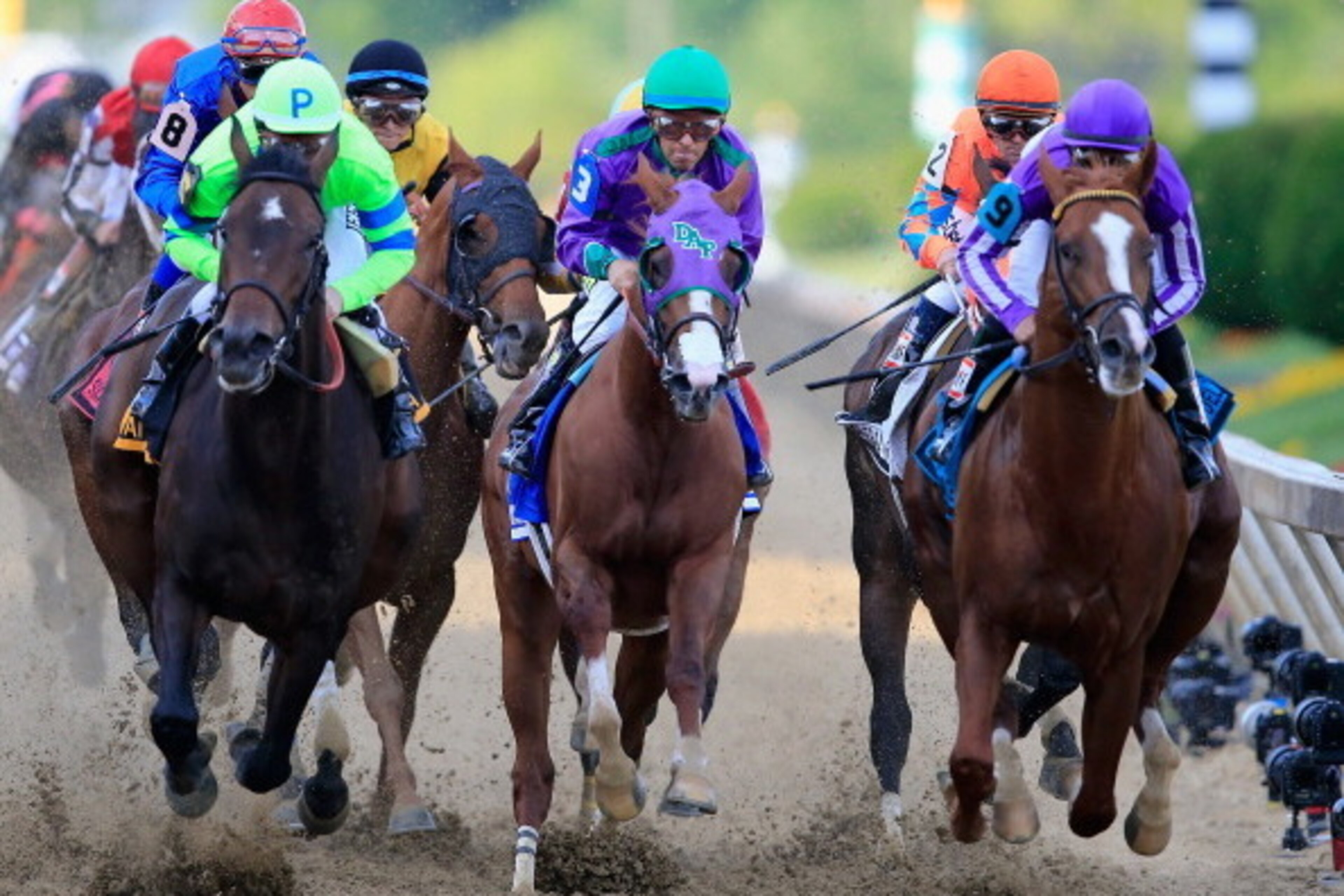 BALTIMORE, MD - MAY 17: California Chrome #3, ridden by Victor Espinoza, races with the field during the 139th running of the Preakness Stakes at Pimlico Race Course on May 17, 2014 in Baltimore, Maryland. (Photo by Rob Carr/Getty Images) BALTIMORE, MD - MAY 17: California Chrome #3, ridden by Victor Espinoza, races with the field during the 139th running of the Preakness Stakes at Pimlico Race Course on May 17, 2014 in Baltimore, Maryland. (Photo by Rob Carr/Getty Images)