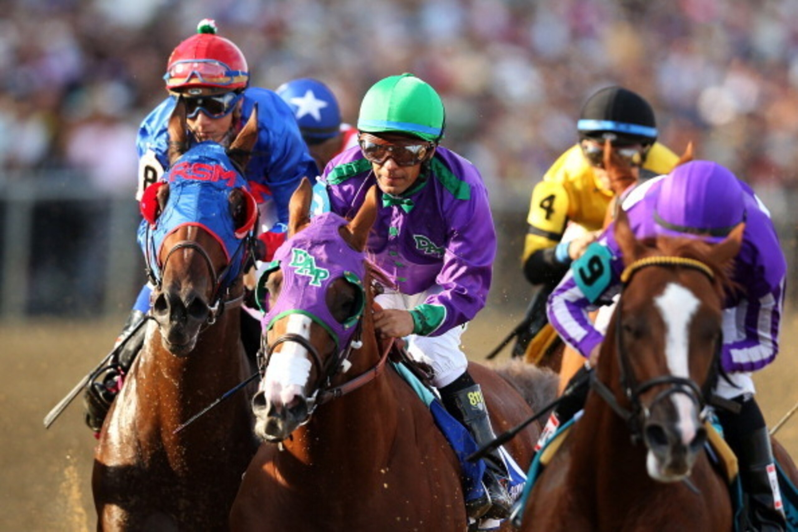 BALTIMORE, MD - MAY 17:  California Chrome #3, ridden by Victor Espinoza, races with the field during the 139th running of the Preakness Stakes at Pimlico Race Course on May 17, 2014 in Baltimore, Maryland.  (Photo by Matthew Stockman/Getty Images)