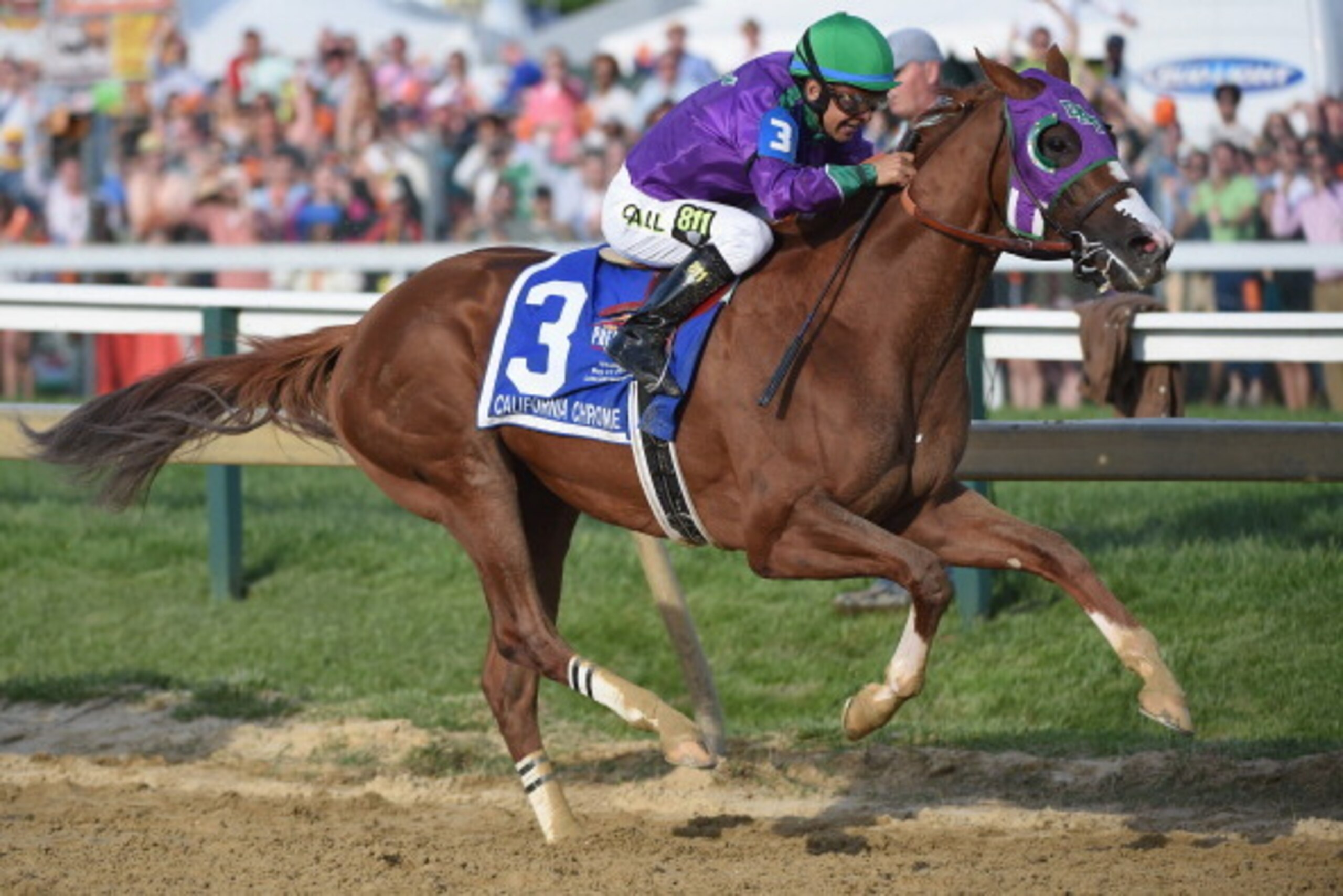 BALTIMORE, MD - MAY 17:  California Chrome #3, ridden by Victor Espinoza, races to the finishline to win the 139th running of the Preakness Stakes at Pimlico Race Course on May 17, 2014 in Baltimore, Maryland.  (Photo by Molly Riley/Getty Images)