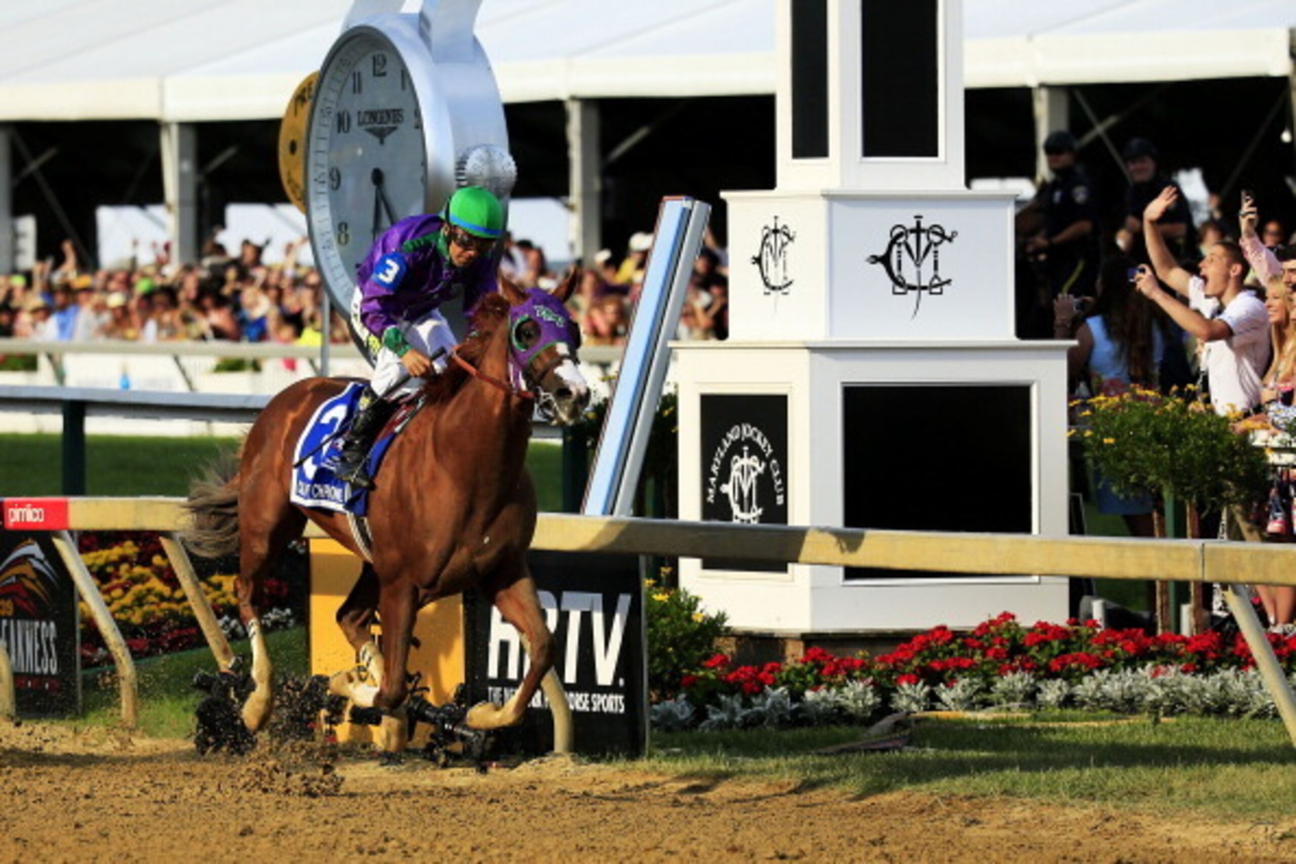 BALTIMORE, MD - MAY 17:  California Chrome #3, ridden by Victor Espinoza, races accross the finishline to win the 139th running of the Preakness Stakes at Pimlico Race Course on May 17, 2014 in Baltimore, Maryland.  (Photo by Patrick Smith/Getty Images)