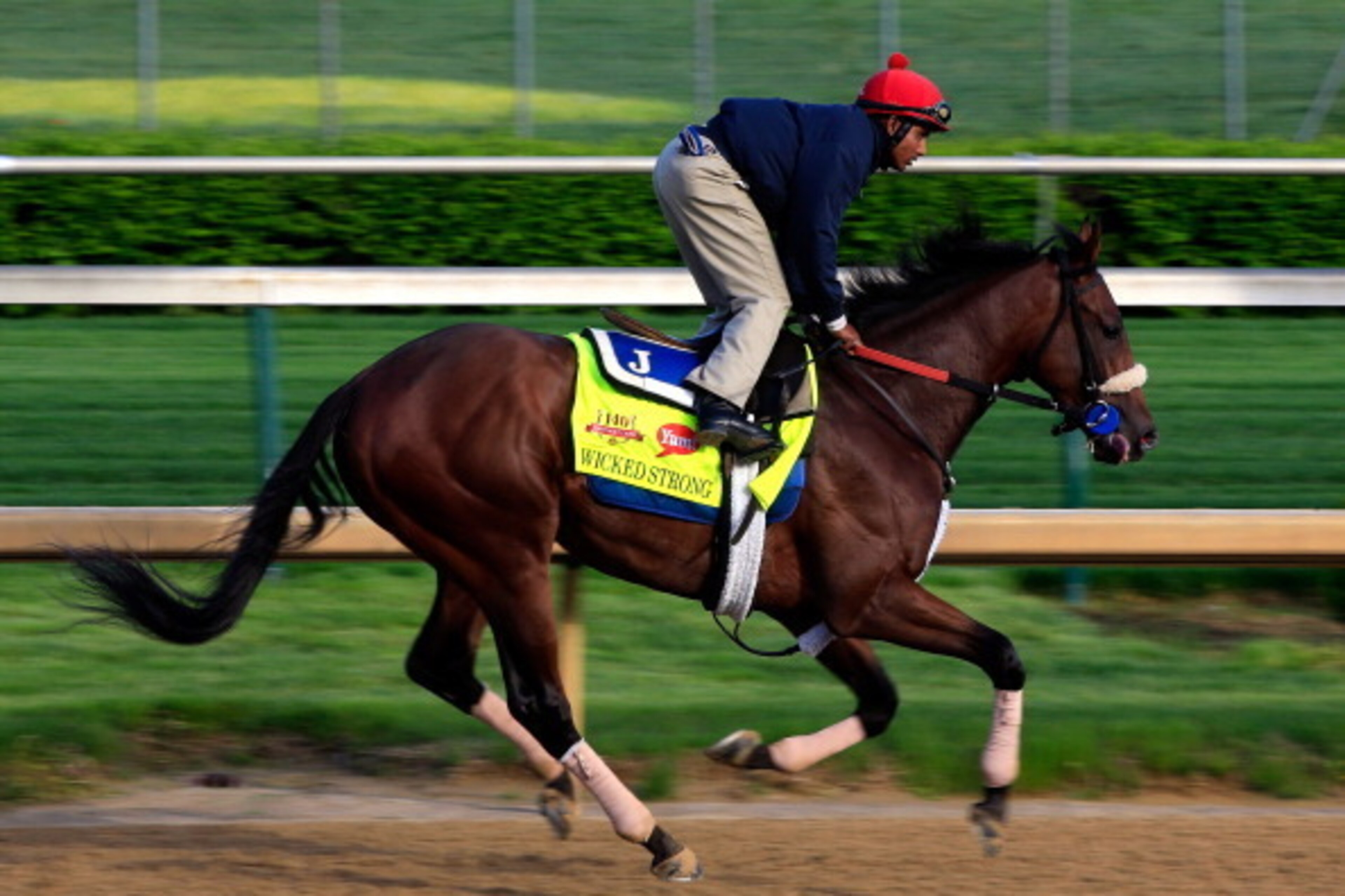 LOUISVILLE, KY - MAY 01:  Kentucky Derby contender Wicked Strong works out on the track during early morning workouts at Churchill Downs on May 1, 2014 in Louisville, Kentucky.  (Photo by Jamie Squire/Getty Images)