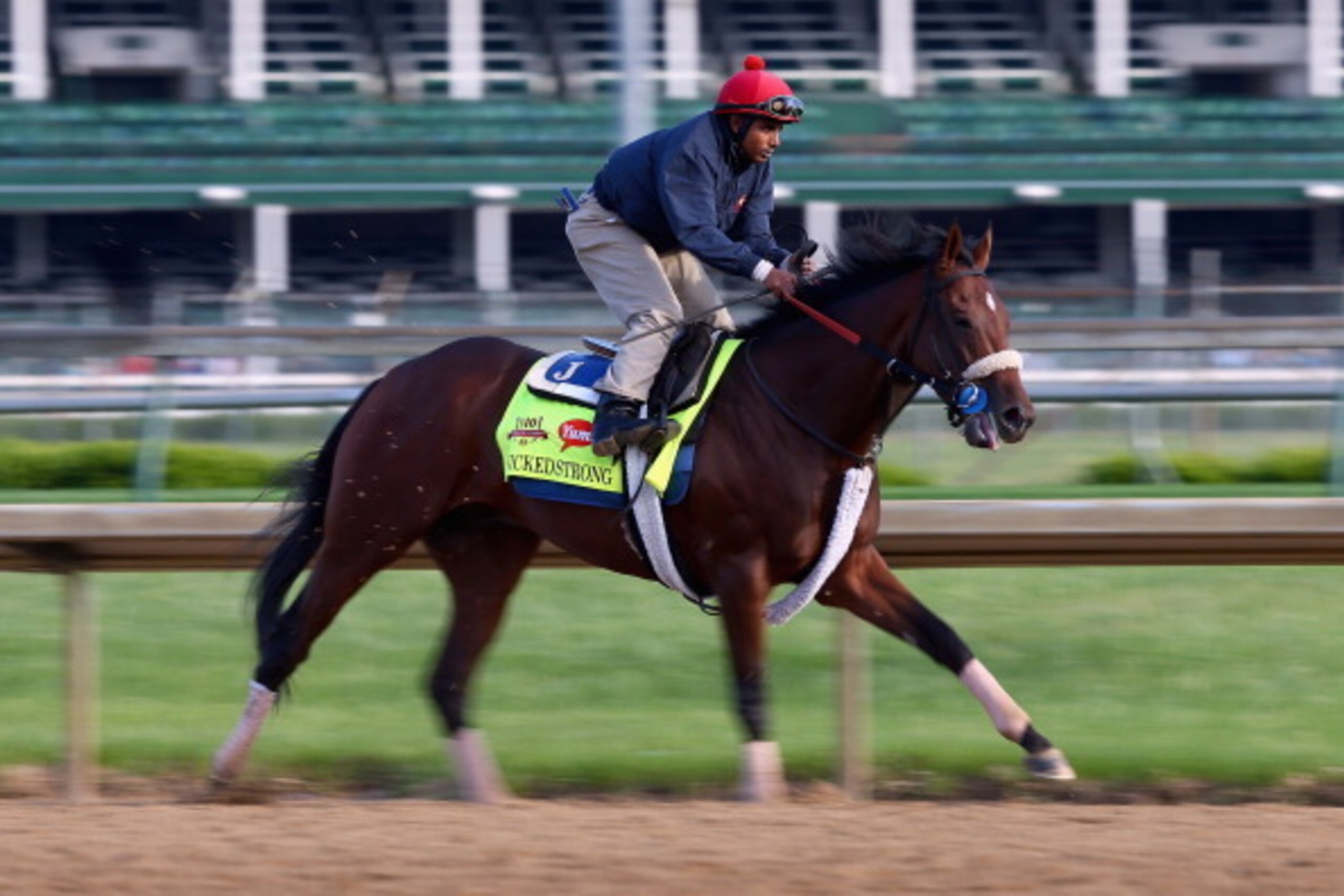LOUISVILLE, KY - MAY 01:  Wicked Strong runs on the track during the morning training for the Kentucky Derby at Churchill Downs on May 1, 2014 in Louisville, Kentucky.  (Photo by Andy Lyons/Getty Images)