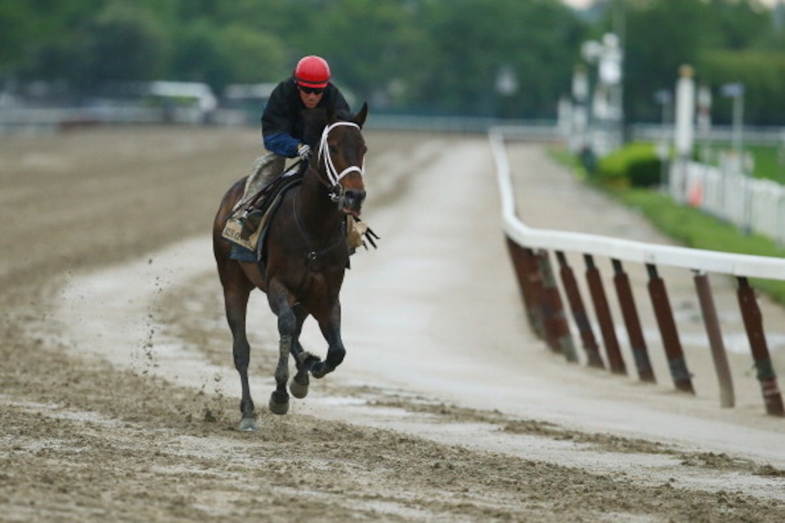 ELMONT, NY - MAY 24:  Ride On Curlin with exercise rider Bryan Baccia up, trains on the main track at Belmont Park on May 24, 2014 in Elmont, New York. He is scheduled to race for the Triple Crown in the 146th running of the Belmont Stakes  (Photo by Al B