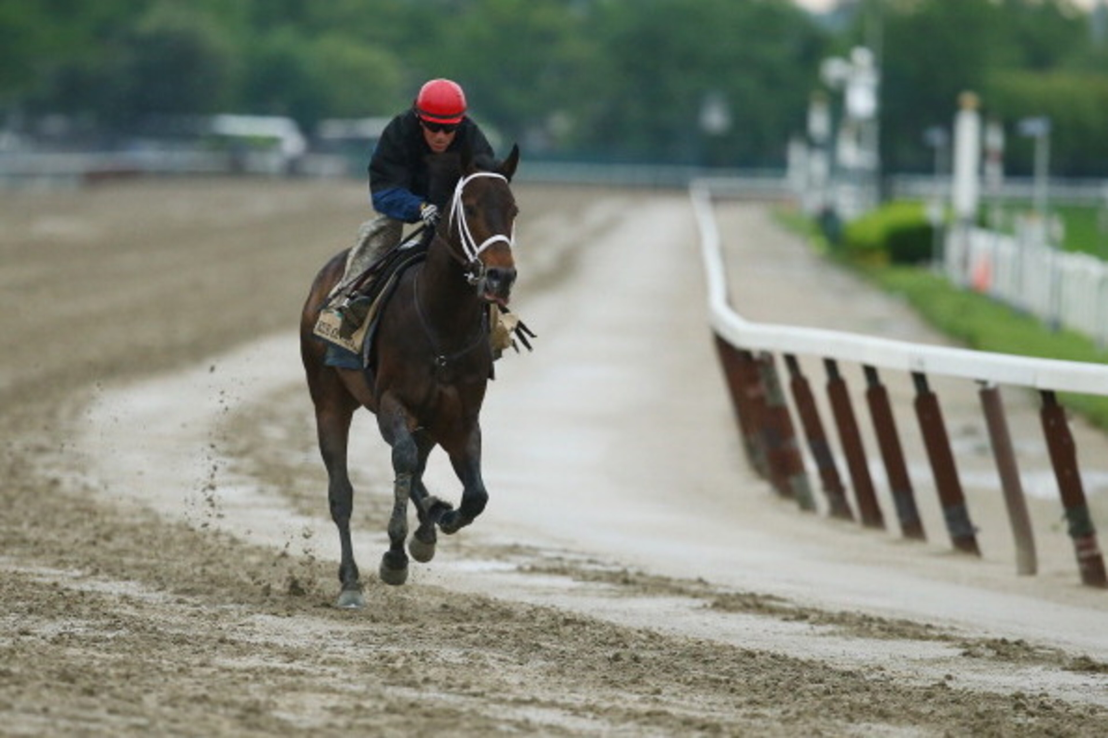 ELMONT, NY - MAY 24:  Ride On Curlin with exercise rider Bryan Baccia up, trains on the main track at Belmont Park on May 24, 2014 in Elmont, New York. He is scheduled to race for the Triple Crown in the 146th running of the Belmont Stakes  (Photo by Al B