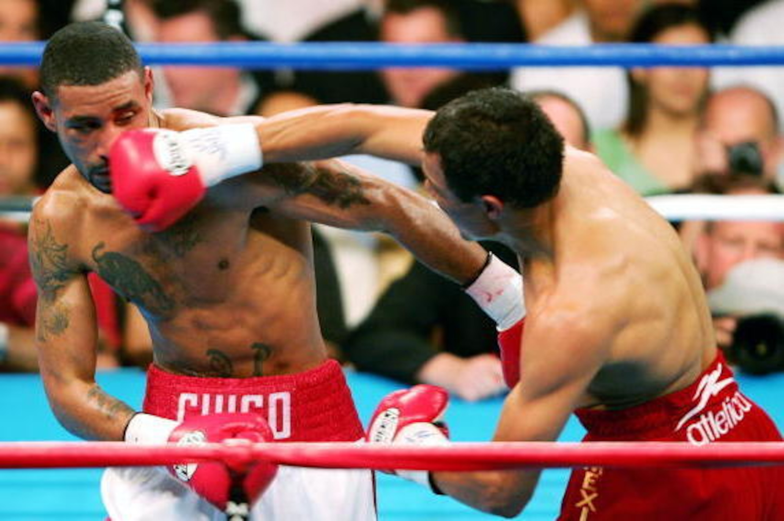 LAS VEGAS, NV - MAY 7: Jose Luis Castillo hits Diego Corrales with a right during their World Lightweight Unification bout on May 7, 2005 at The Mandalay Bay in Las Vegas, Nevada. Corrales won the fight after the referee stopped the fight in the tenth rou LAS VEGAS, NV - MAY 7: Jose Luis Castillo hits Diego Corrales with a right during their World Lightweight Unification bout on May 7, 2005 at The Mandalay Bay in Las Vegas, Nevada. Corrales won the fight after the referee stopped the fight in the tenth rou