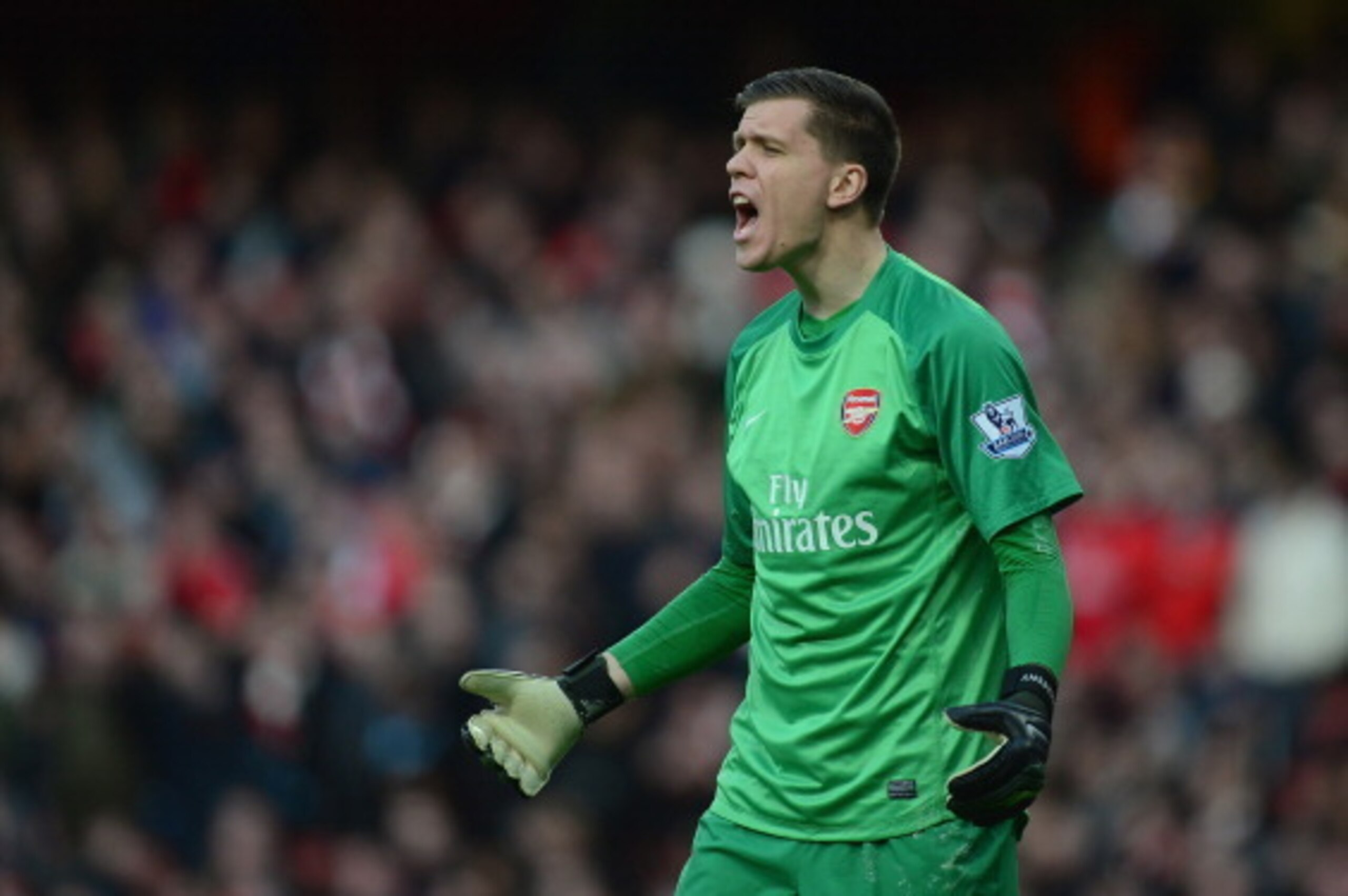 LONDON, ENGLAND - FEBRUARY 22:  Wojciech Szczesny of Arsenal in action during the Barclays Premier League match between Arsenal and Sunderland at Emirates Stadium on February 22, 2014 in London, England.  (Photo by Jamie McDonald/Getty Images)