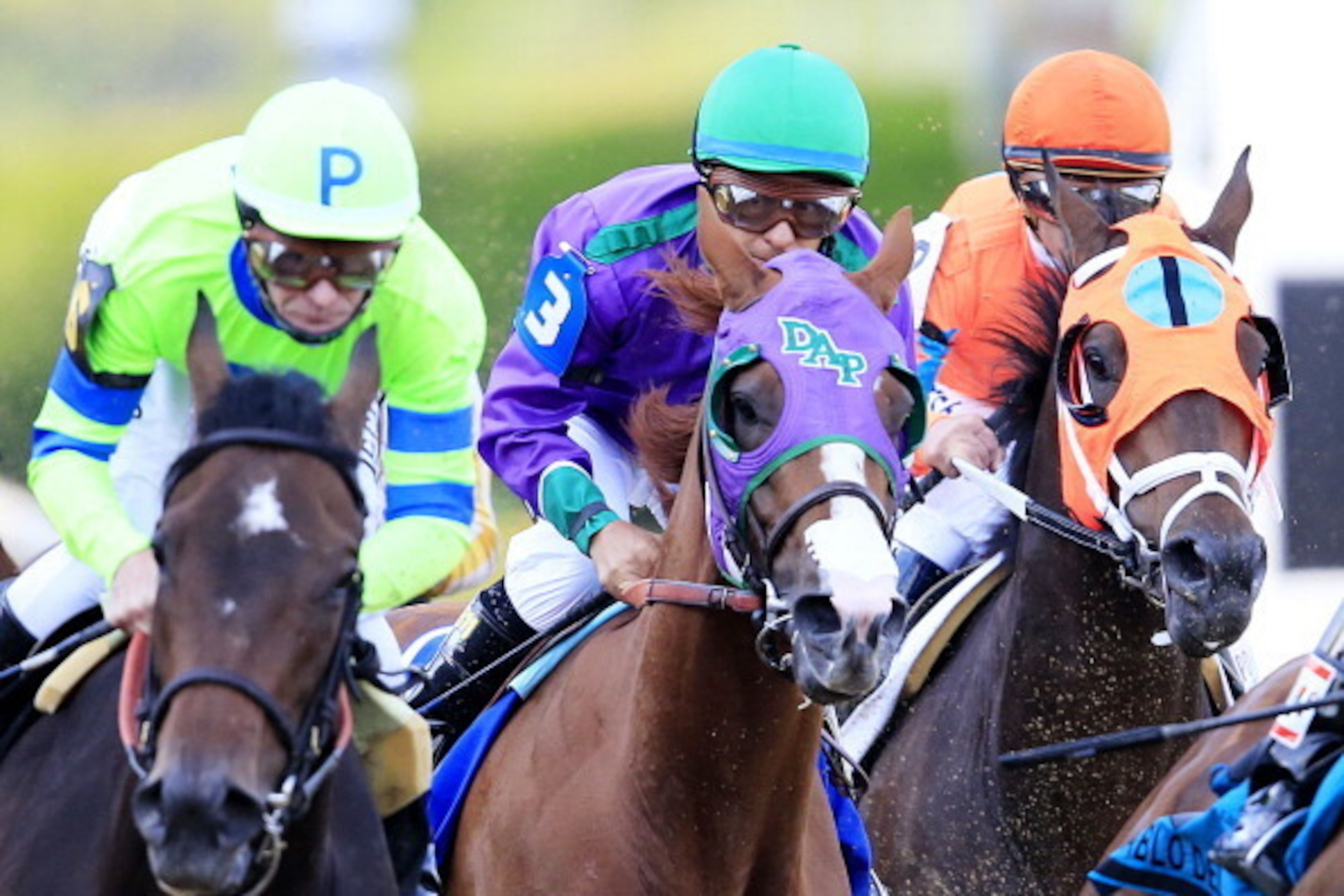 BALTIMORE, MD - MAY 17:  California Chrome #3, ridden by Victor Espinoza, races with the field during the 139th running of the Preakness Stakes at Pimlico Race Course on May 17, 2014 in Baltimore, Maryland.  (Photo by Rob Carr/Getty Images)