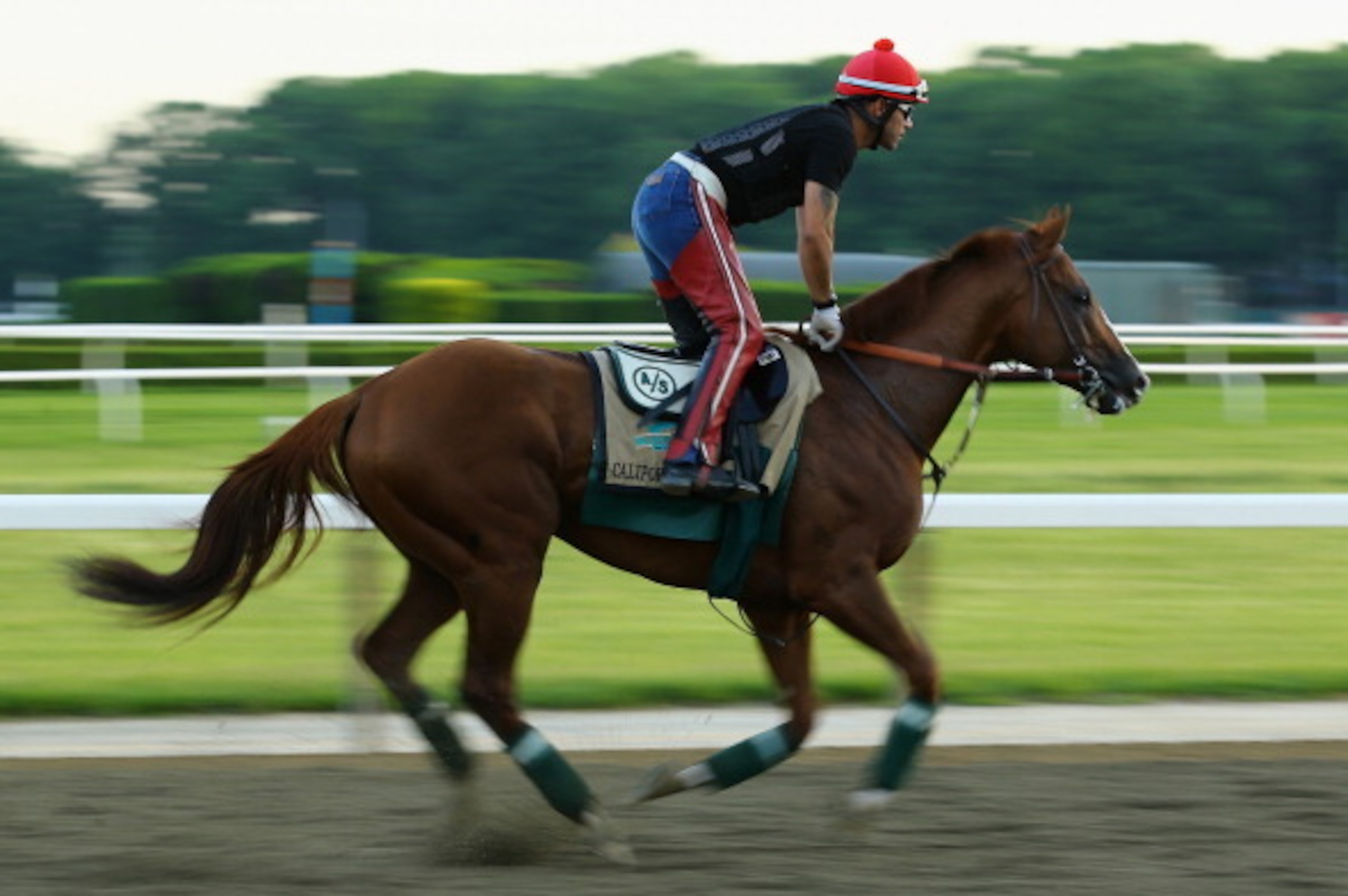 ELMONT, NY - MAY 27:  Kentucky Derby and Preakness winner California Chrome, with exercise rider Willie Delgado up, trains on the main track at Belmont Park on May 27, 2014 in Elmont, New York. He is scheduled to race for the Triple Crown in the 146th run