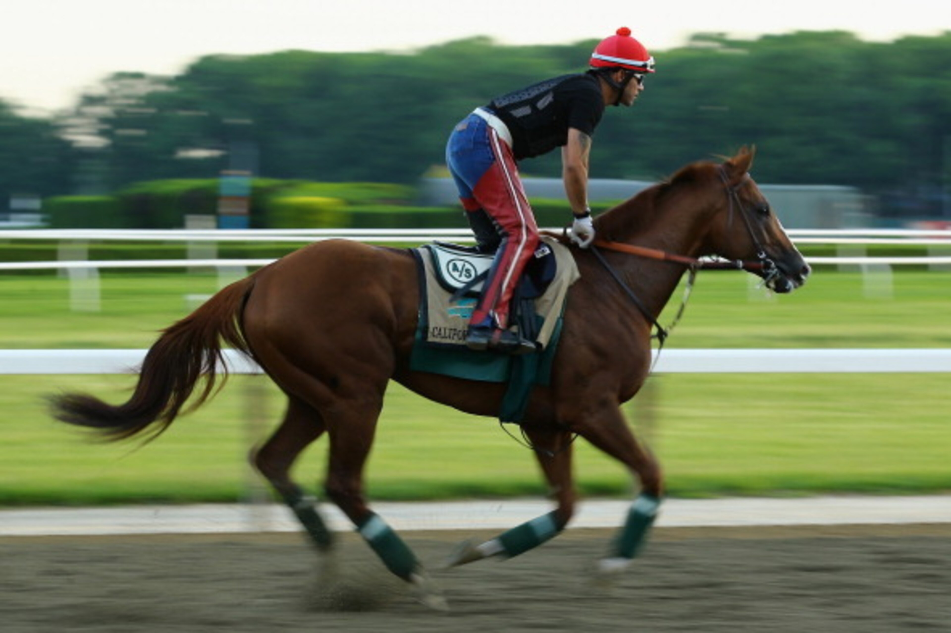 ELMONT, NY - MAY 27:  Kentucky Derby and Preakness winner California Chrome, with exercise rider Willie Delgado up, trains on the main track at Belmont Park on May 27, 2014 in Elmont, New York. He is scheduled to race for the Triple Crown in the 146th run