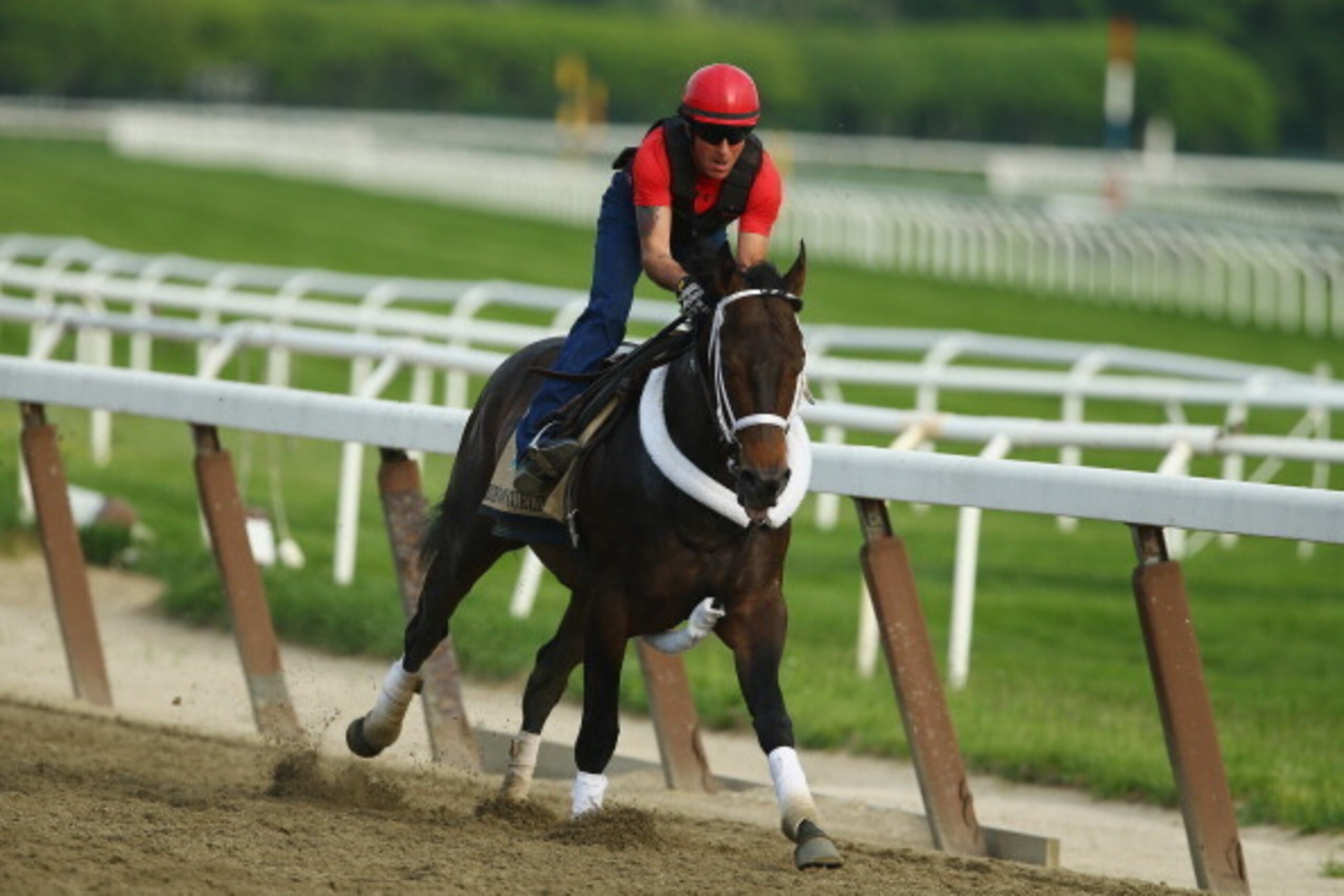 ELMONT, NY - MAY 27: Ride On Curlin with exercise rider Bryan Baccia up, trains on the main track at Belmont Park on May 27, 2014 in Elmont, New York. (Photo by Al Bello/Getty Images) ELMONT, NY - MAY 27: Ride On Curlin with exercise rider Bryan Baccia up, trains on the main track at Belmont Park on May 27, 2014 in Elmont, New York. (Photo by Al Bello/Getty Images)