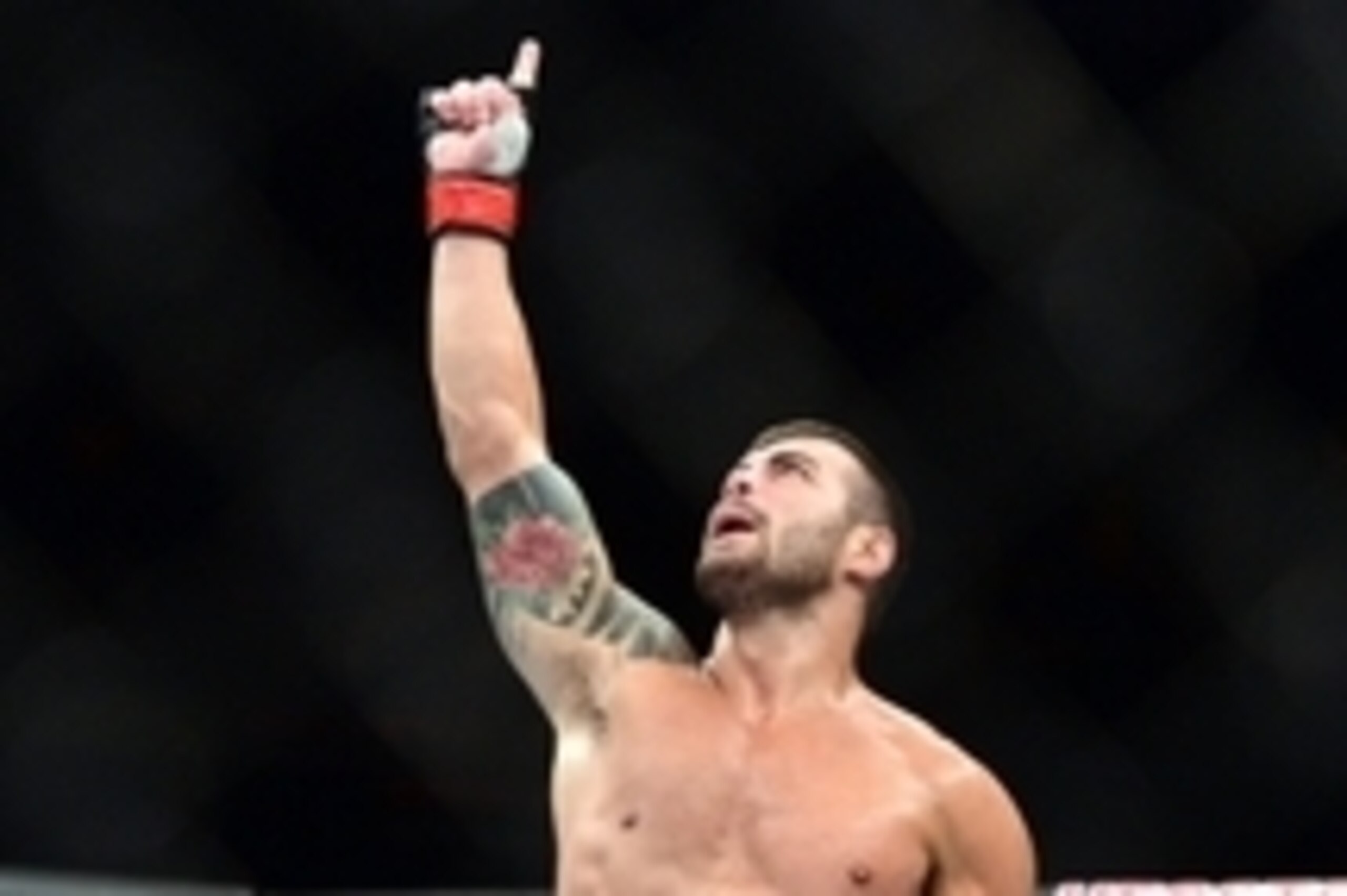 May 31, 2014; Sao Paulo, SP, BRAZIL; Ricardo Abreu (red gloves) celebrates after defeating Wagner Silva (blue gloves) during the TUF Brazil 3 Finale at Ibirapuera  Gymnasium. Mandatory Credit: Jason Silva-USA TODAY Sports