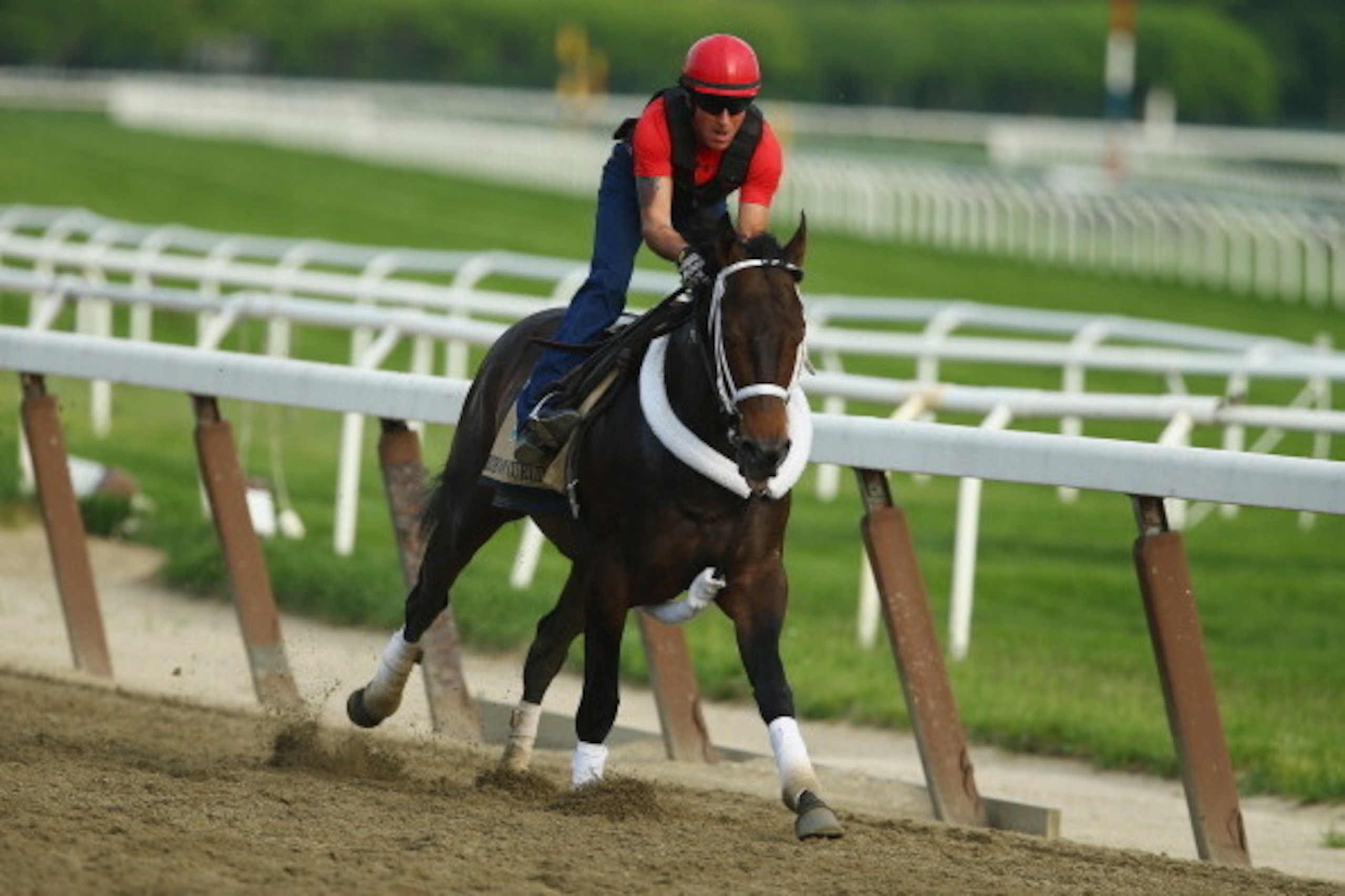 ELMONT, NY - MAY 27:  Ride On Curlin with exercise rider Bryan Baccia up, trains on the main track at Belmont Park on May 27, 2014 in Elmont, New York.  (Photo by Al Bello/Getty Images)