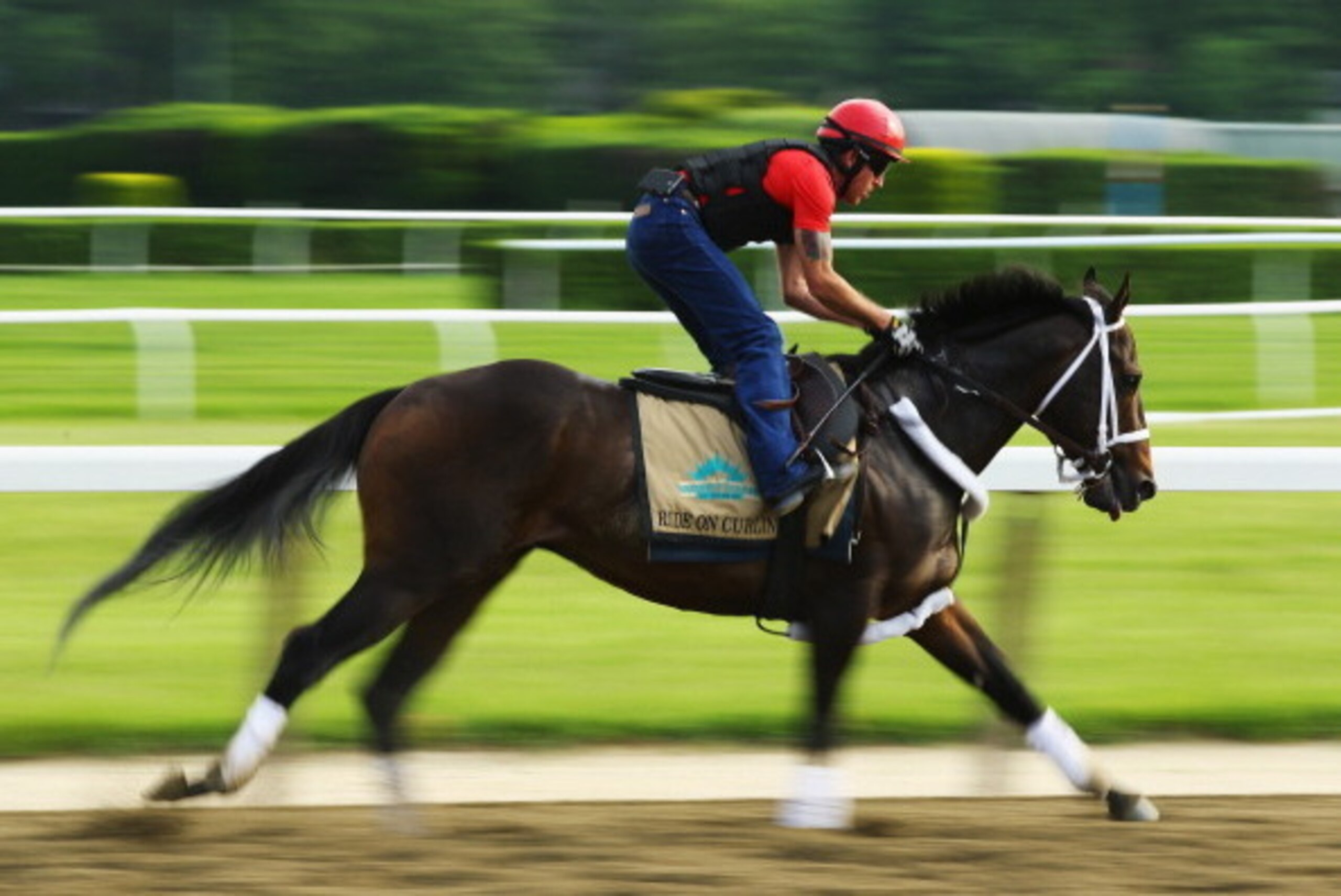 ELMONT, NY - MAY 27:  Ride On Curlin with exercise rider Bryan Baccia up, trains on the main track at Belmont Park on May 27, 2014 in Elmont, New York.  (Photo by Al Bello/Getty Images)