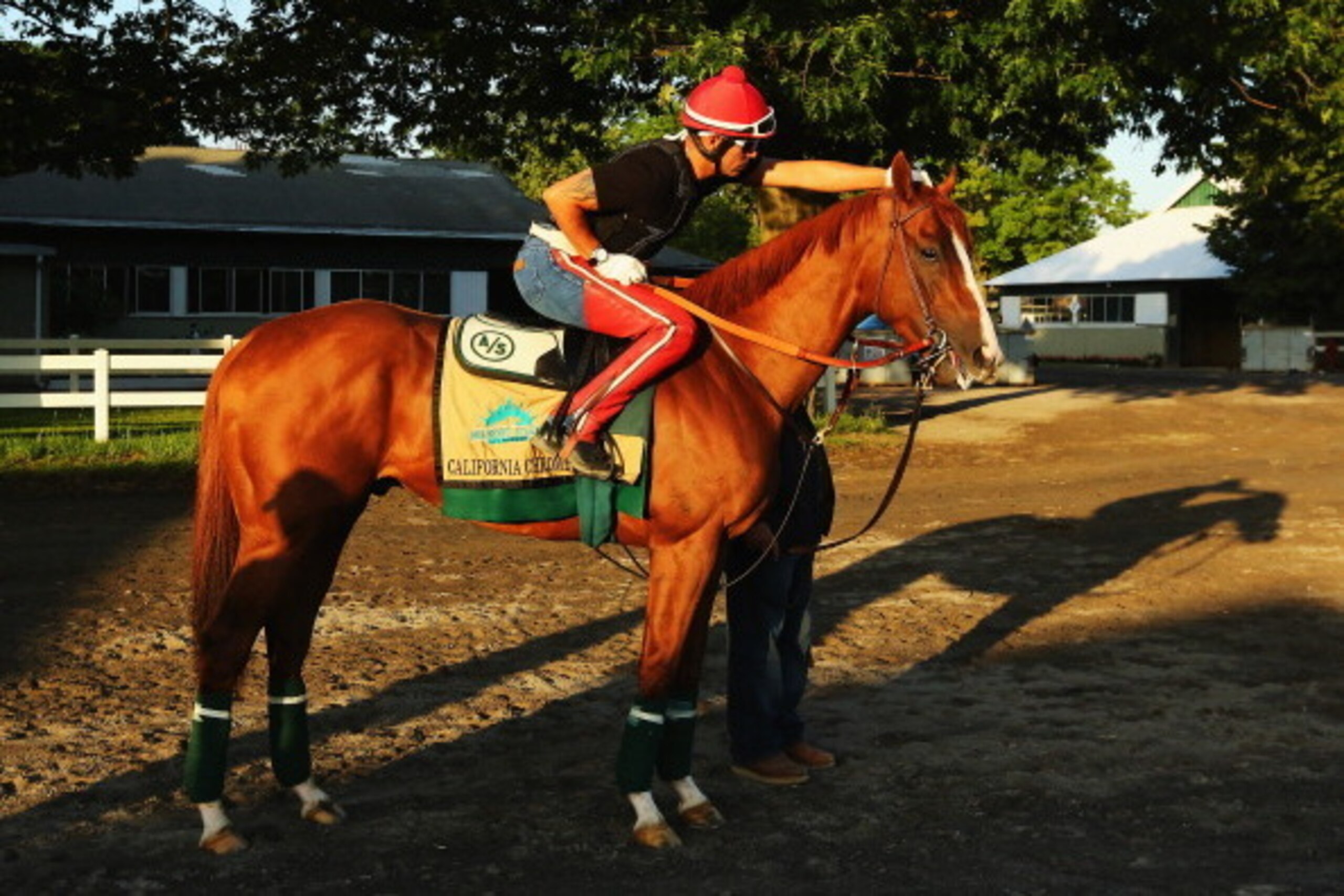 ELMONT, NY - MAY 30: Kentucky Derby and Preakness winner California Chrome with exercise rider Willie Delgado up, heads to the main track for morning training at Belmont Park on May 30, 2014 in Elmont, New York. He is scheduled to race for the Triple Cro ELMONT, NY - MAY 30: Kentucky Derby and Preakness winner California Chrome with exercise rider Willie Delgado up, heads to the main track for morning training at Belmont Park on May 30, 2014 in Elmont, New York. He is scheduled to race for the Triple Cro