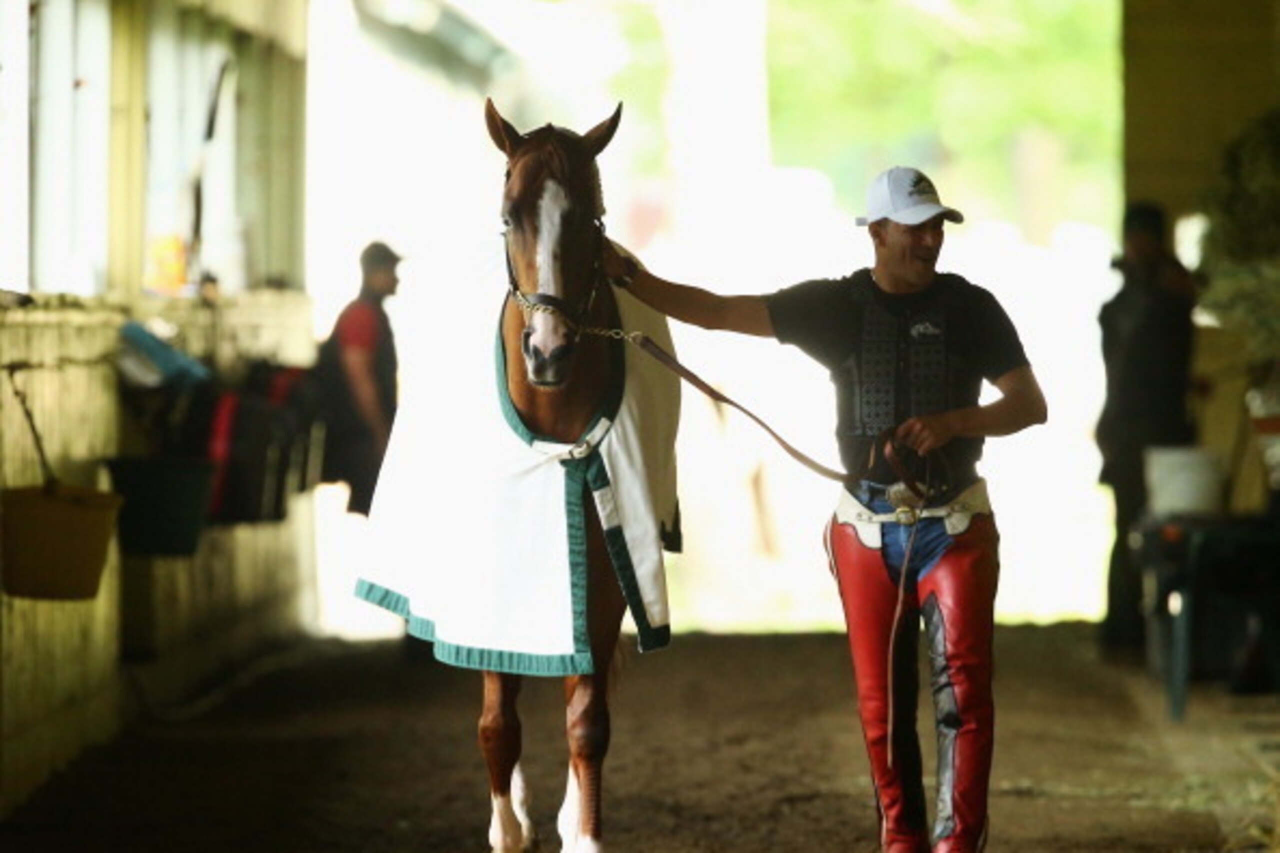 ELMONT, NY - MAY 30:  Kentucky Derby and Preakness winner California Chrome, with exercise rider Willie Delgado is walked in his barn after training on the main track at Belmont Park on May 30, 2014 in Elmont, New York. He is scheduled to race for the Tri