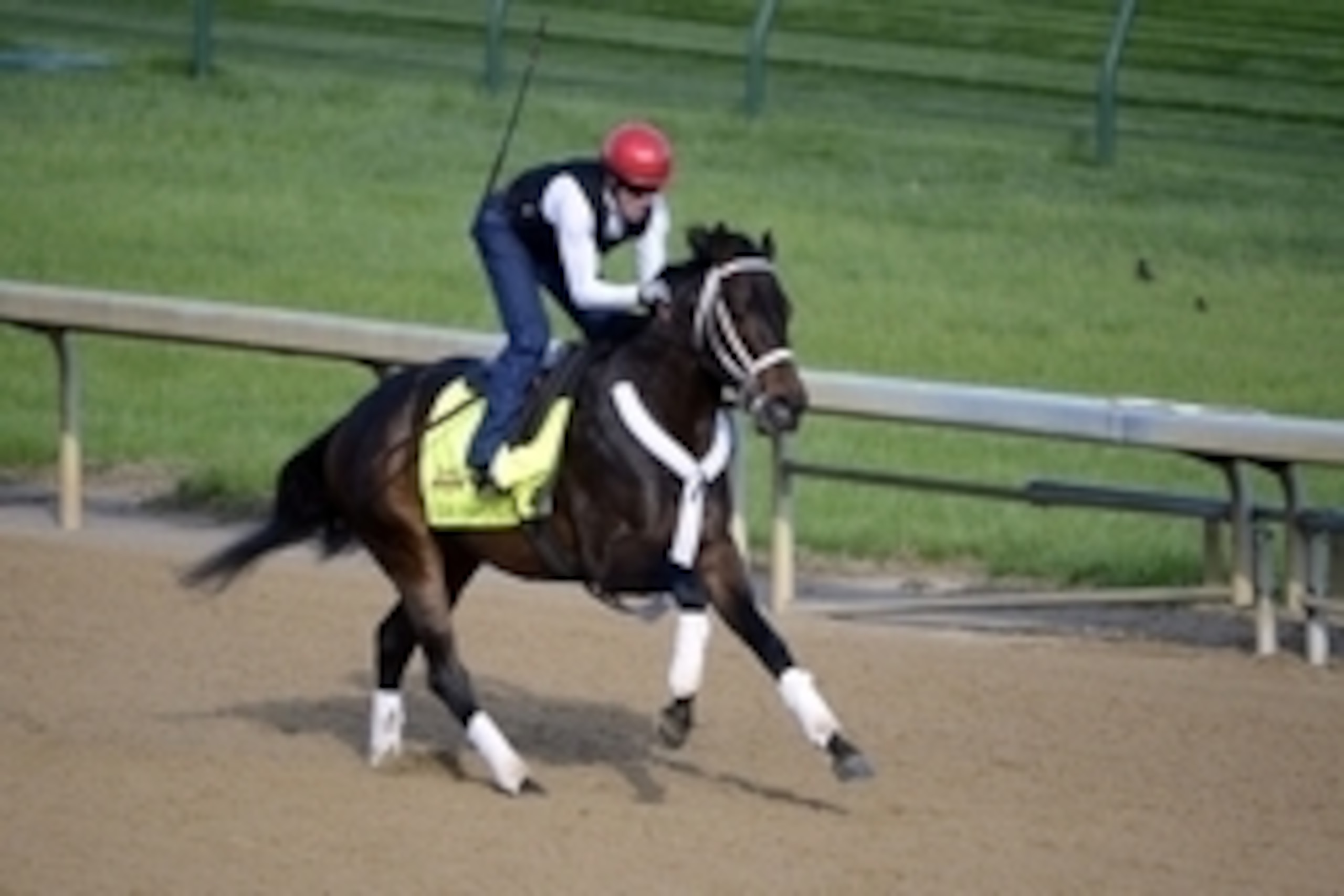 May 1, 2014; Louisville, KY, USA; Exercise rider Bryan Beccia works out Kentucky Derby hopeful Ride on Curlin during morning workouts at Churchill Downs. Mandatory Credit: Jamie Rhodes-USA TODAY Sports