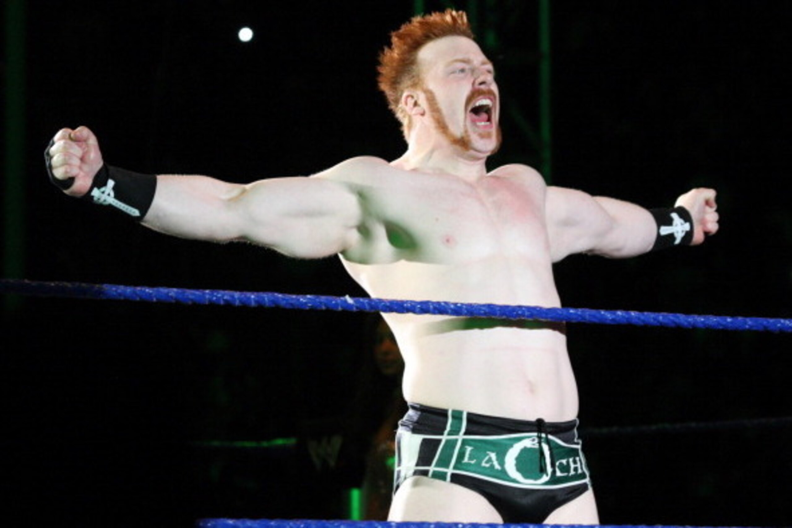 DURBAN, SOUTH AFRICA - JULY 08: The Celtic Warrior Sheamus during the WWE Smackdown Live Tour at Westridge Park Tennis Stadium on July 08, 2011 in Durban, South Africa. (Photo by Steve Haag/Gallo Images/Getty Images) DURBAN, SOUTH AFRICA - JULY 08: The Celtic Warrior Sheamus during the WWE Smackdown Live Tour at Westridge Park Tennis Stadium on July 08, 2011 in Durban, South Africa. (Photo by Steve Haag/Gallo Images/Getty Images)