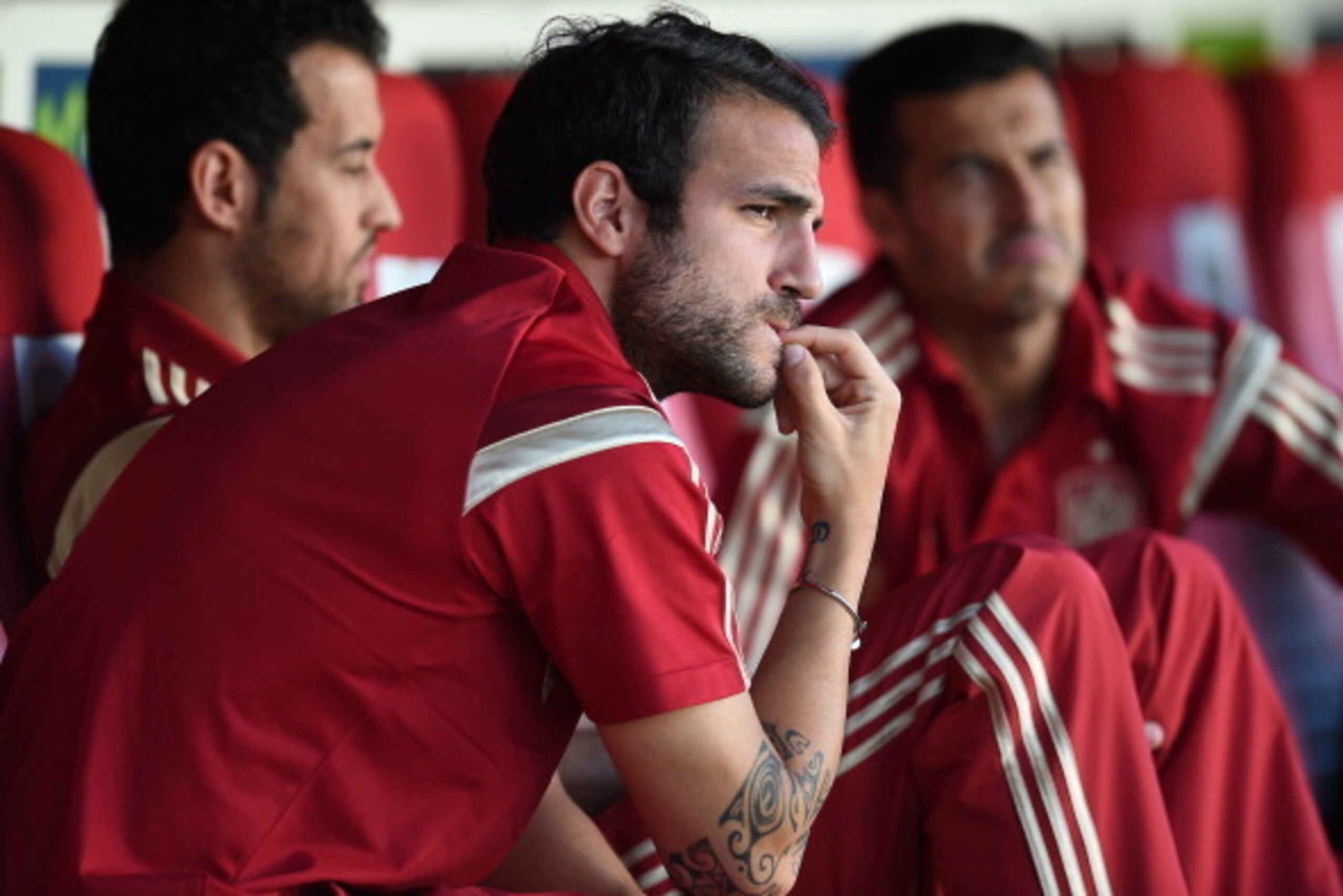 SEVILLE, SPAIN - MAY 30:  Cesc Fabregas of Spain looks on during an international friendly match between Spain and Bolivia at Estadio Ramon Sanchez Pizjuan on May 30, 2014 in Seville, Spain.  (Photo by David Ramos/Getty Images)