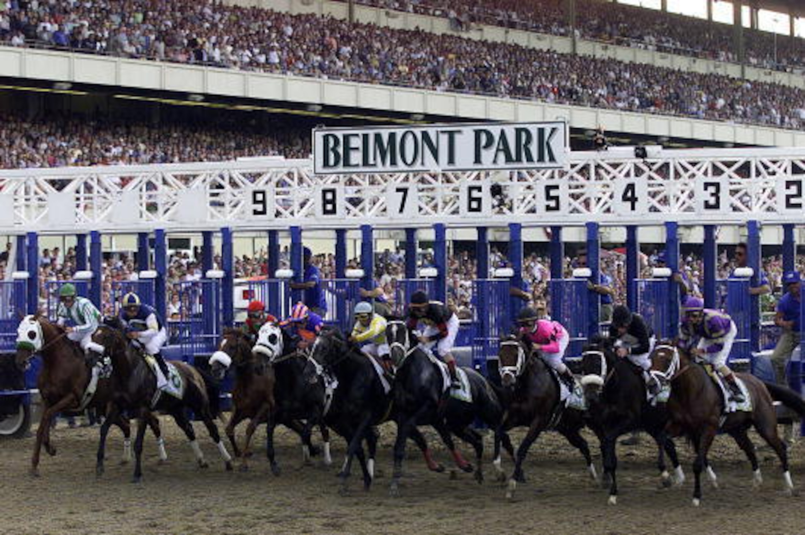 9 Jun, 2001:   Winner Point Given (far left, stall 9) with Gary Stevens up at the start of the 133rd running of the Belmont Stakes in Elmont, New York.   Digital Image.  Mandatory Credit: Jamie Squire/ALLSPORT